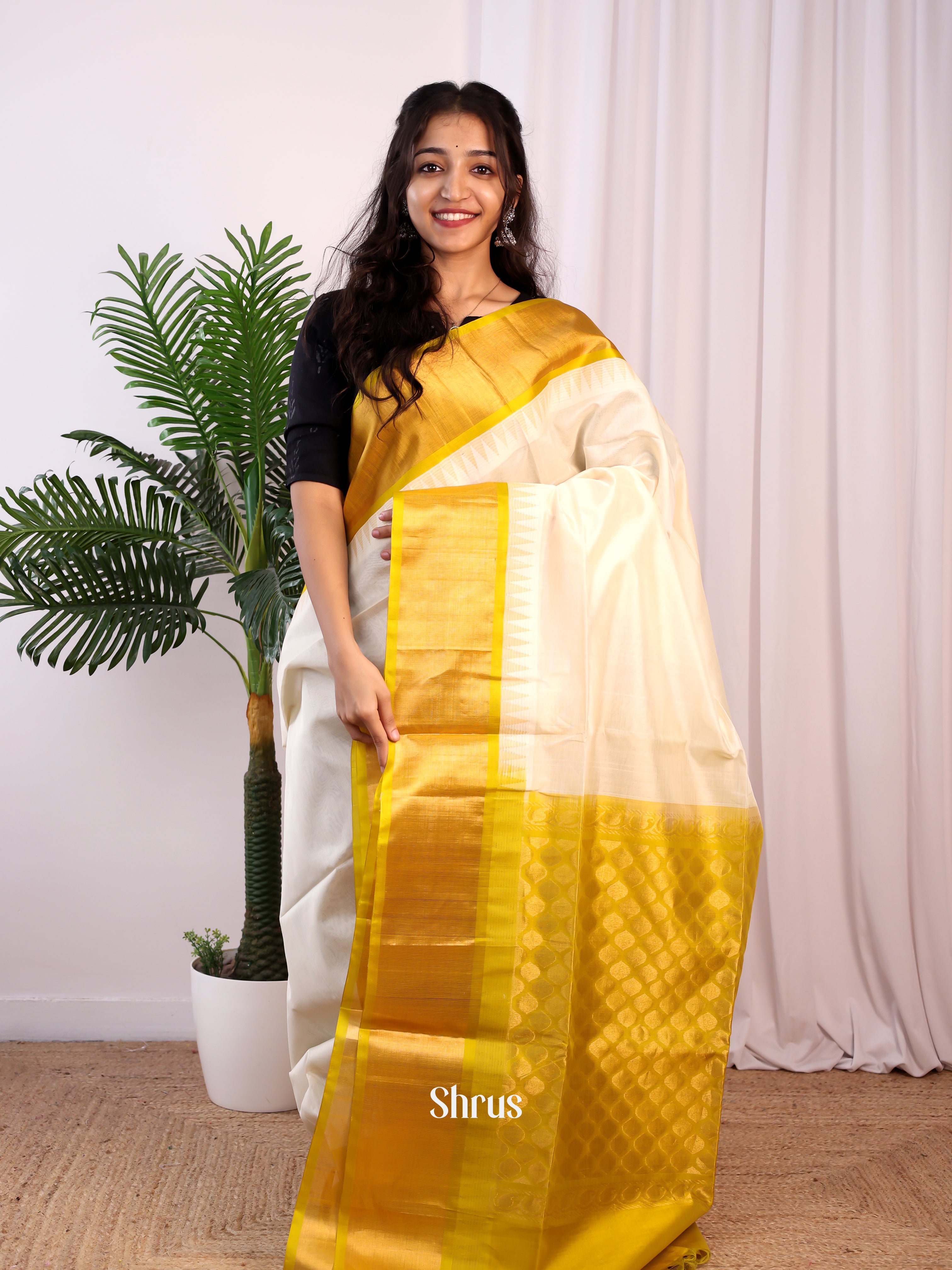 CJS29026 - Silk Cotton Saree - Shop on Shrus.com