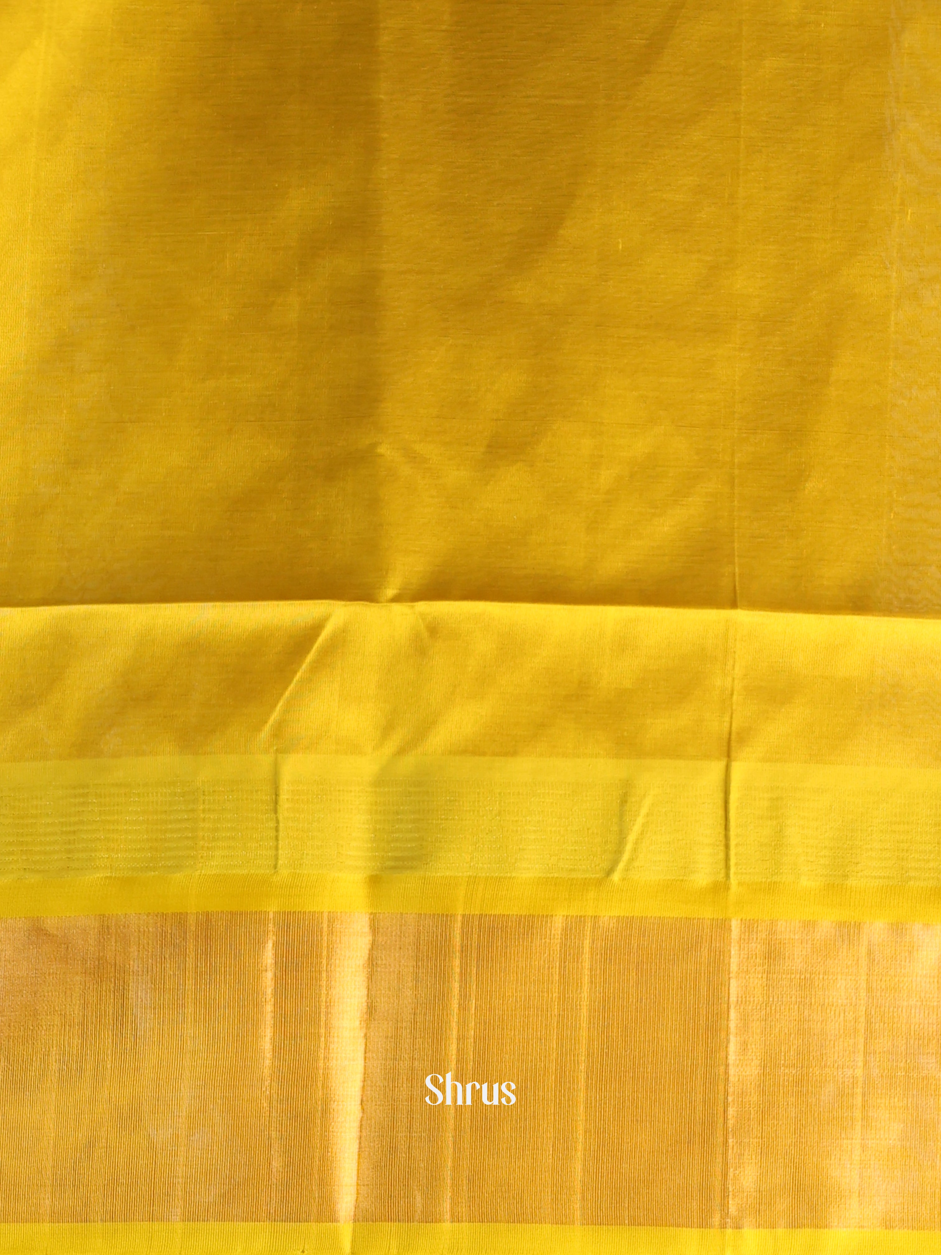 CJS29026 - Silk Cotton Saree - Shop on Shrus.com