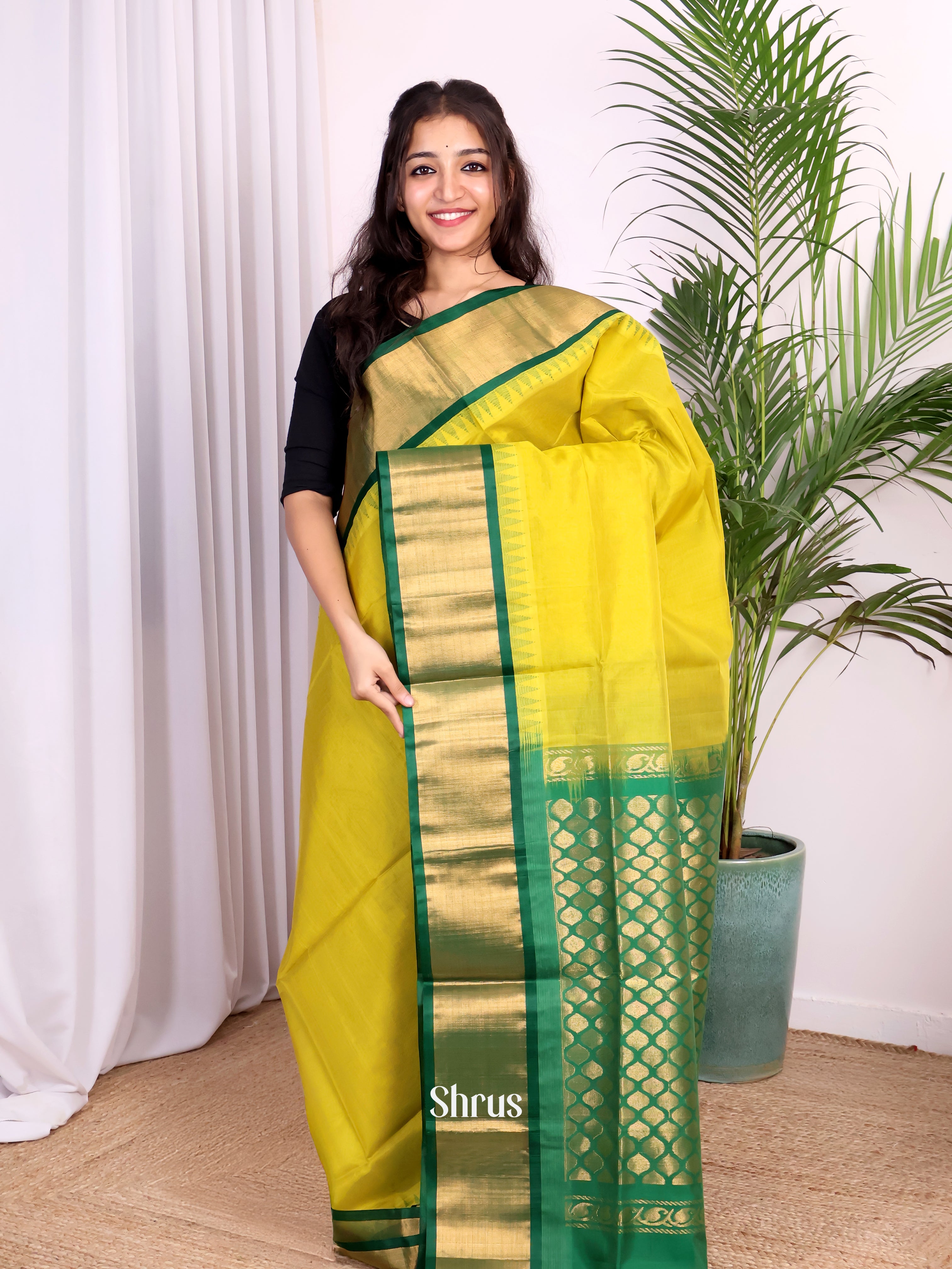 CJS29042 - Silk Cotton Saree - Shop on Shrus.com