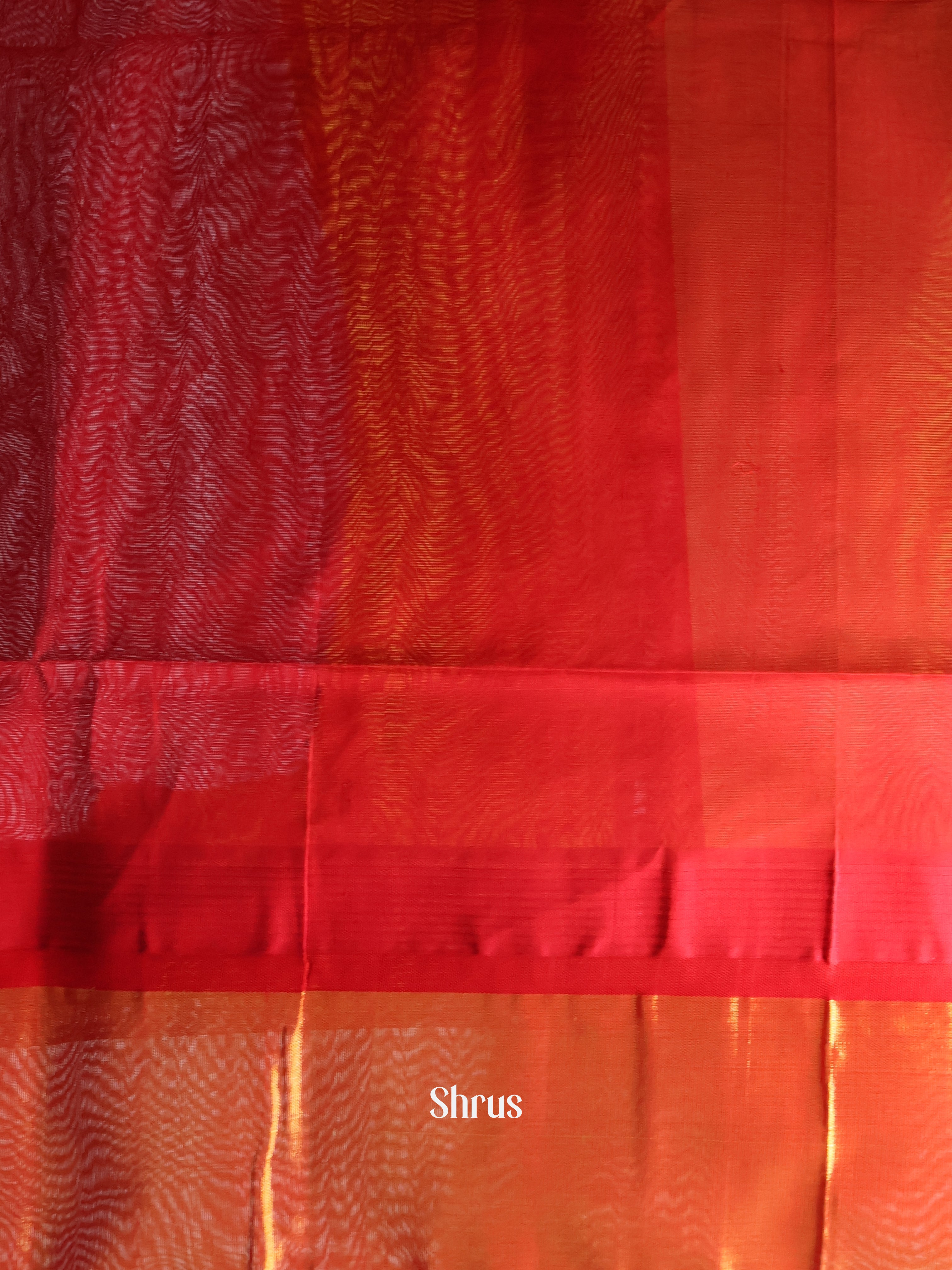 CJS29043 - Silk Cotton Saree - Shop on Shrus.com
