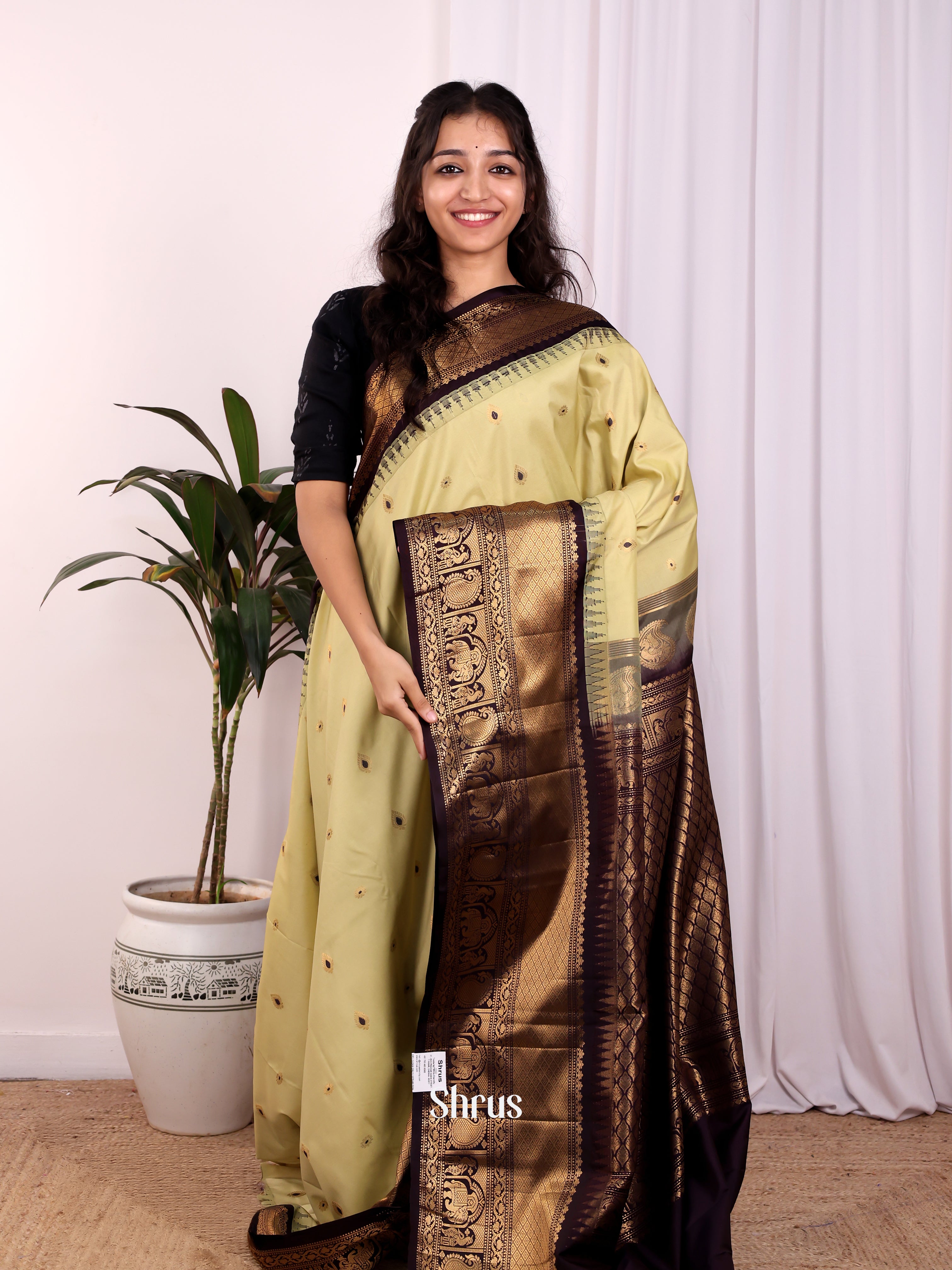 Green & Brown- Gadwal halfpure Saree - Shop on Shrus.com