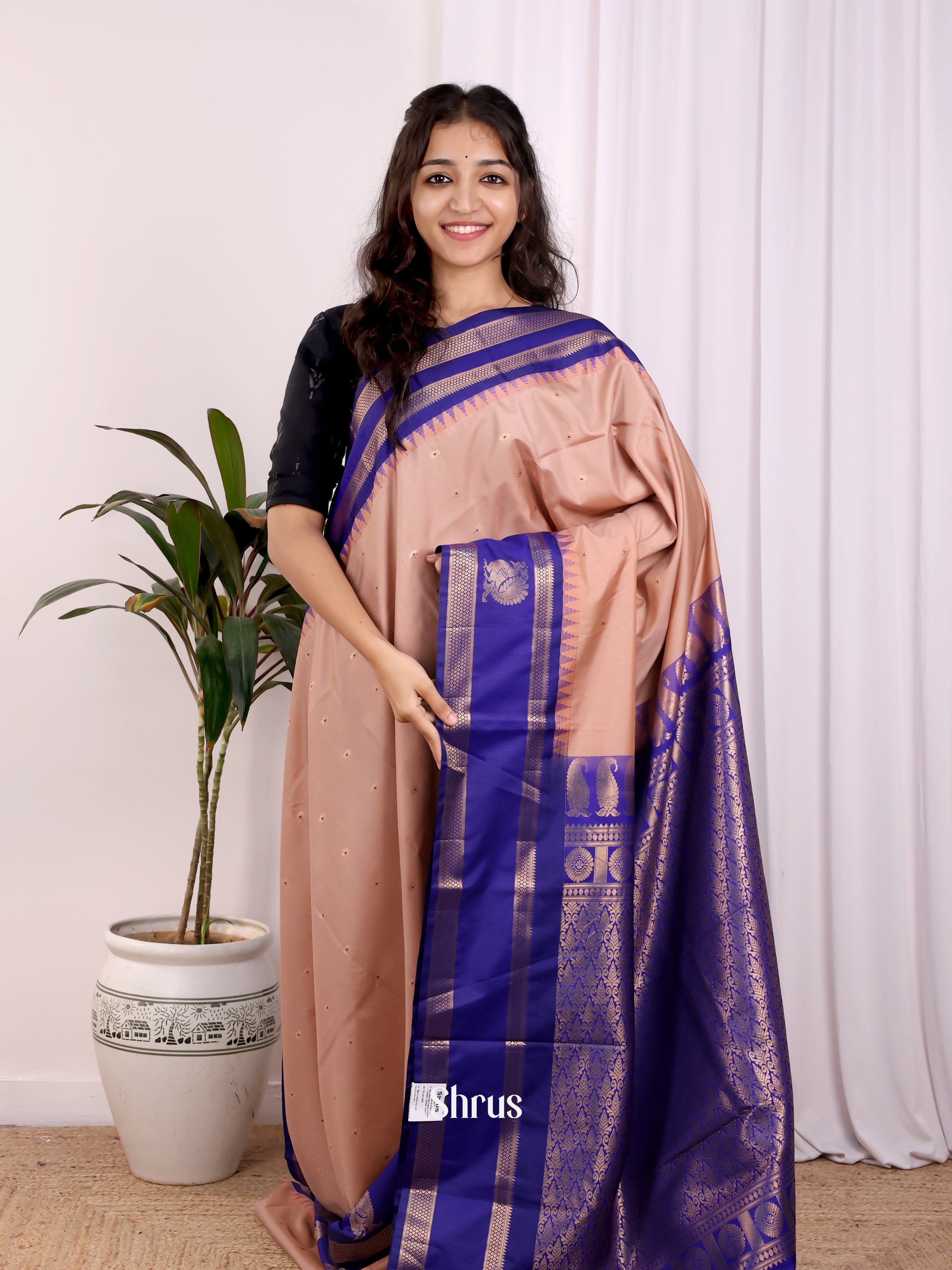 Brown & Blue - Gadwal halfpure Saree