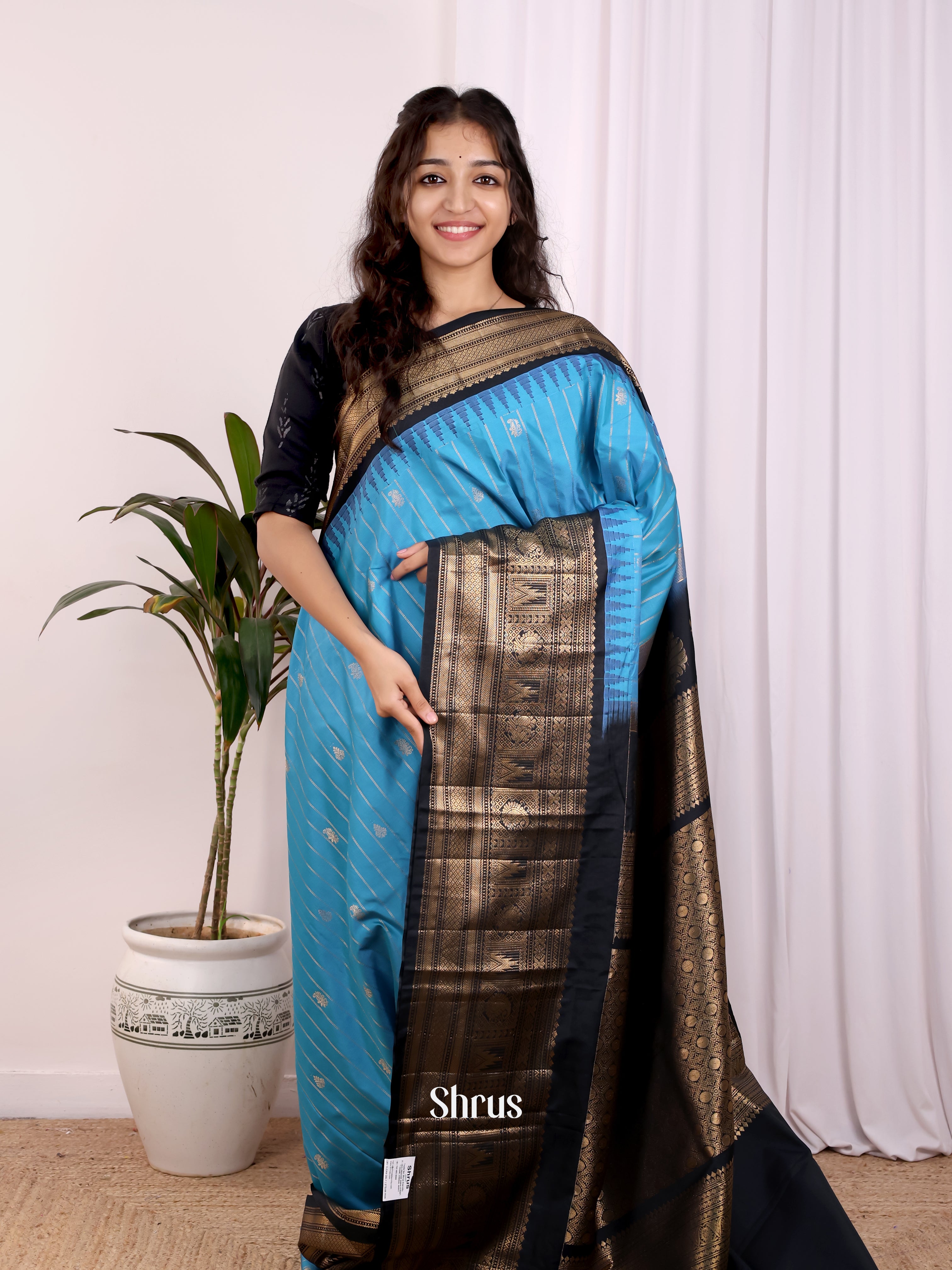 Blue & Black - Gadwal halfpure Saree