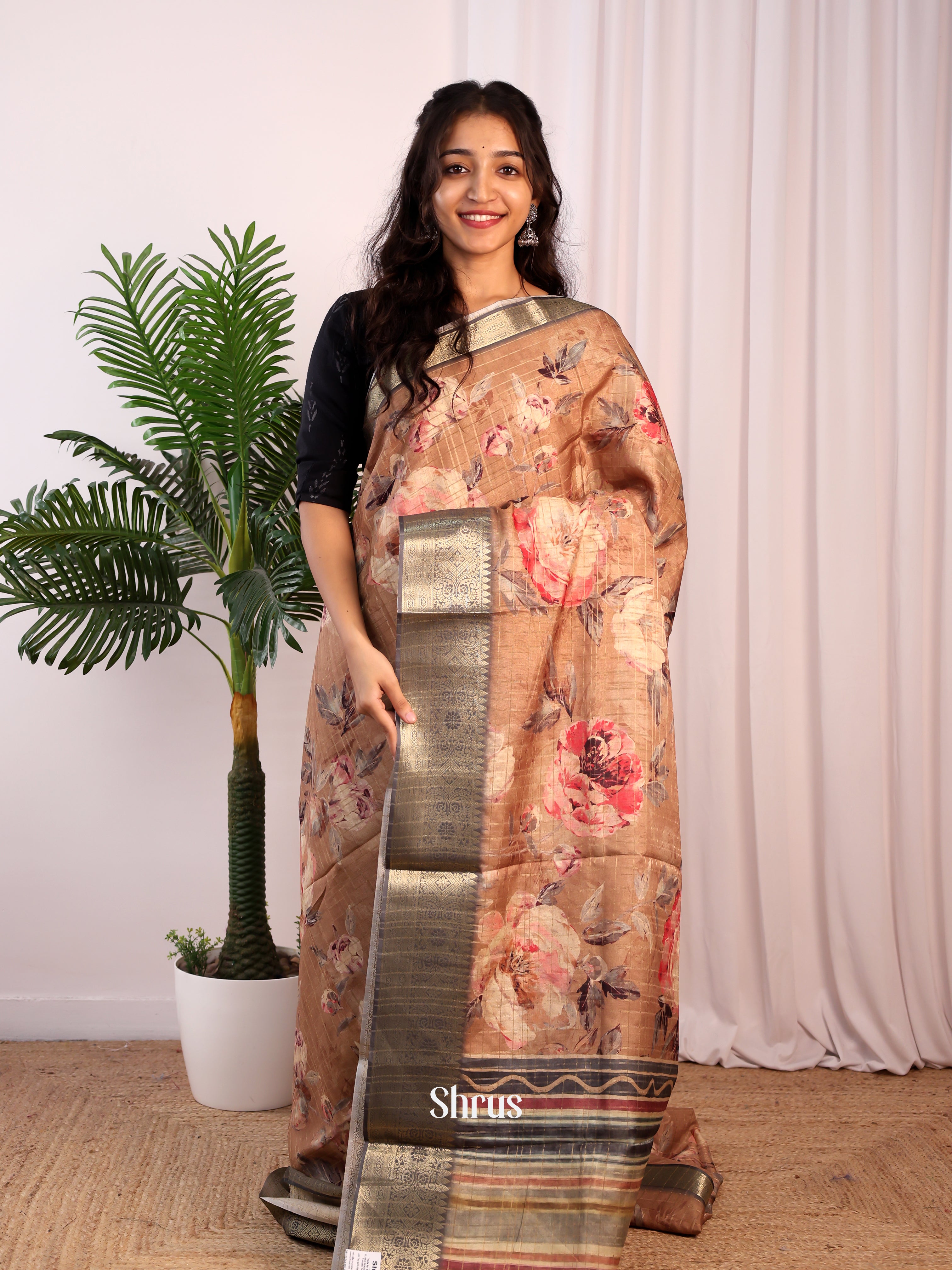 lite Brown & Grey - Semi Dola silk Saree