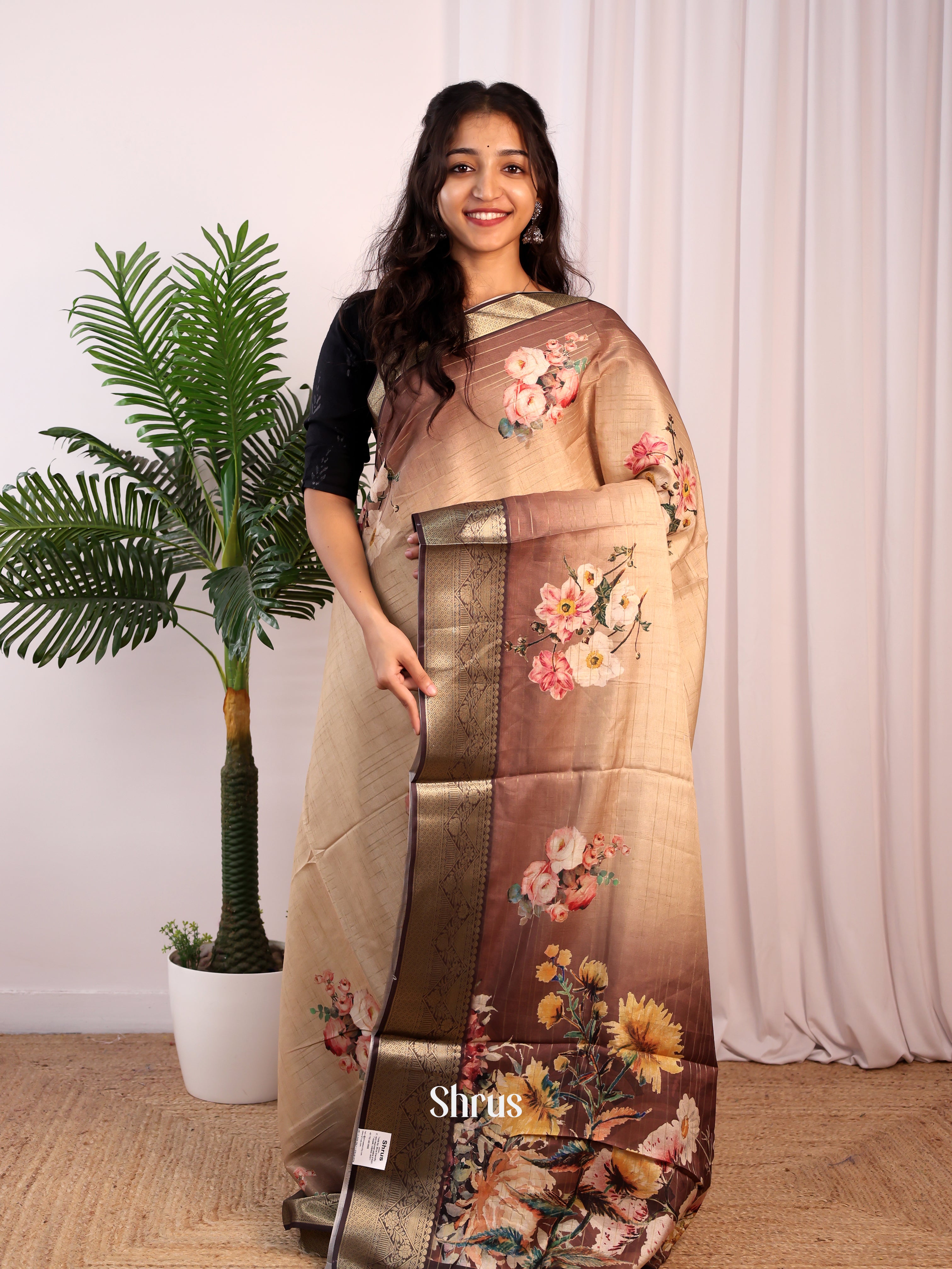 Beige & Brown- Semi Dola silk Saree