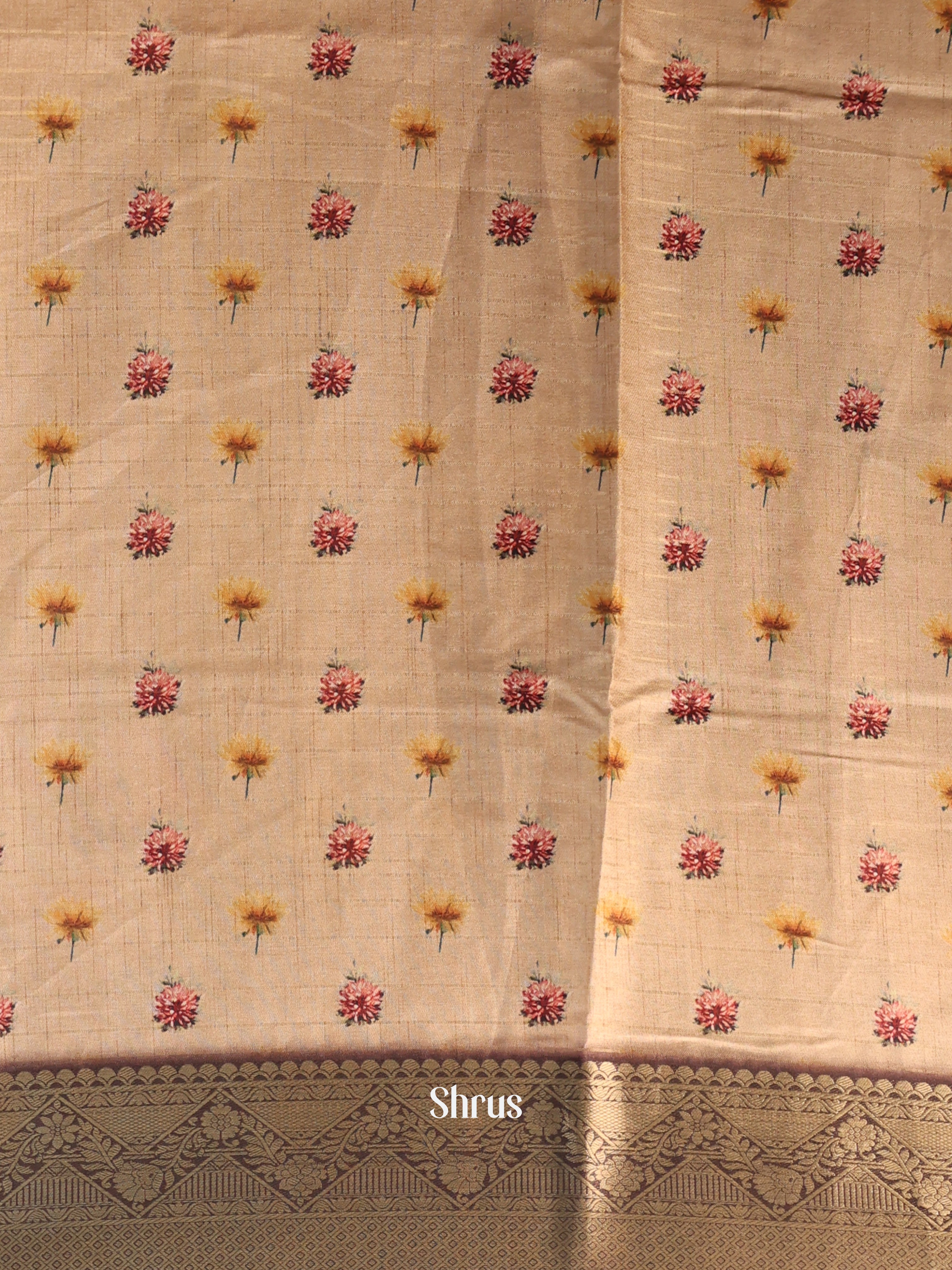 Beige & Brown- Semi Dola silk Saree