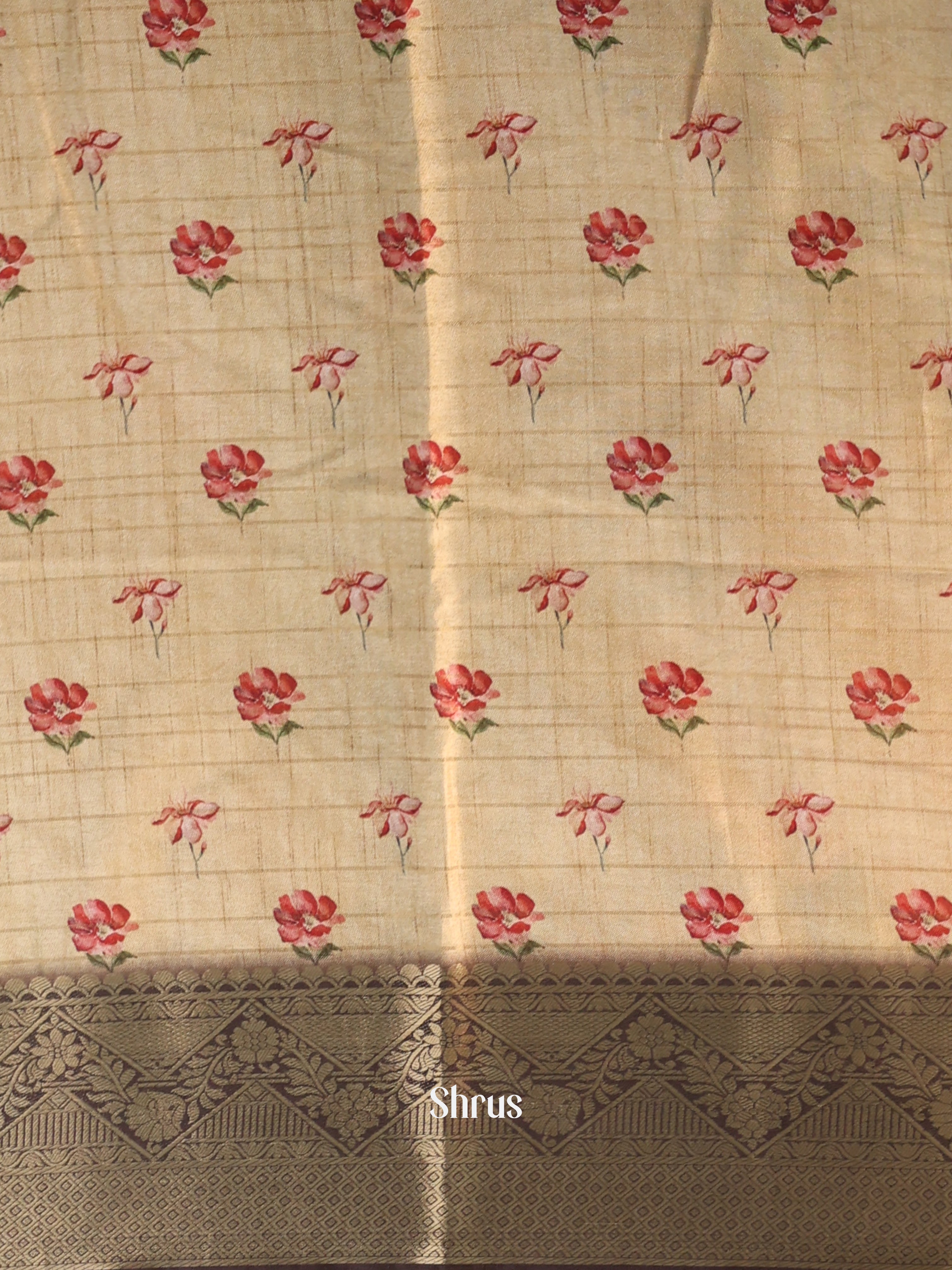 Cream & Brown- Semi Dola silk Saree