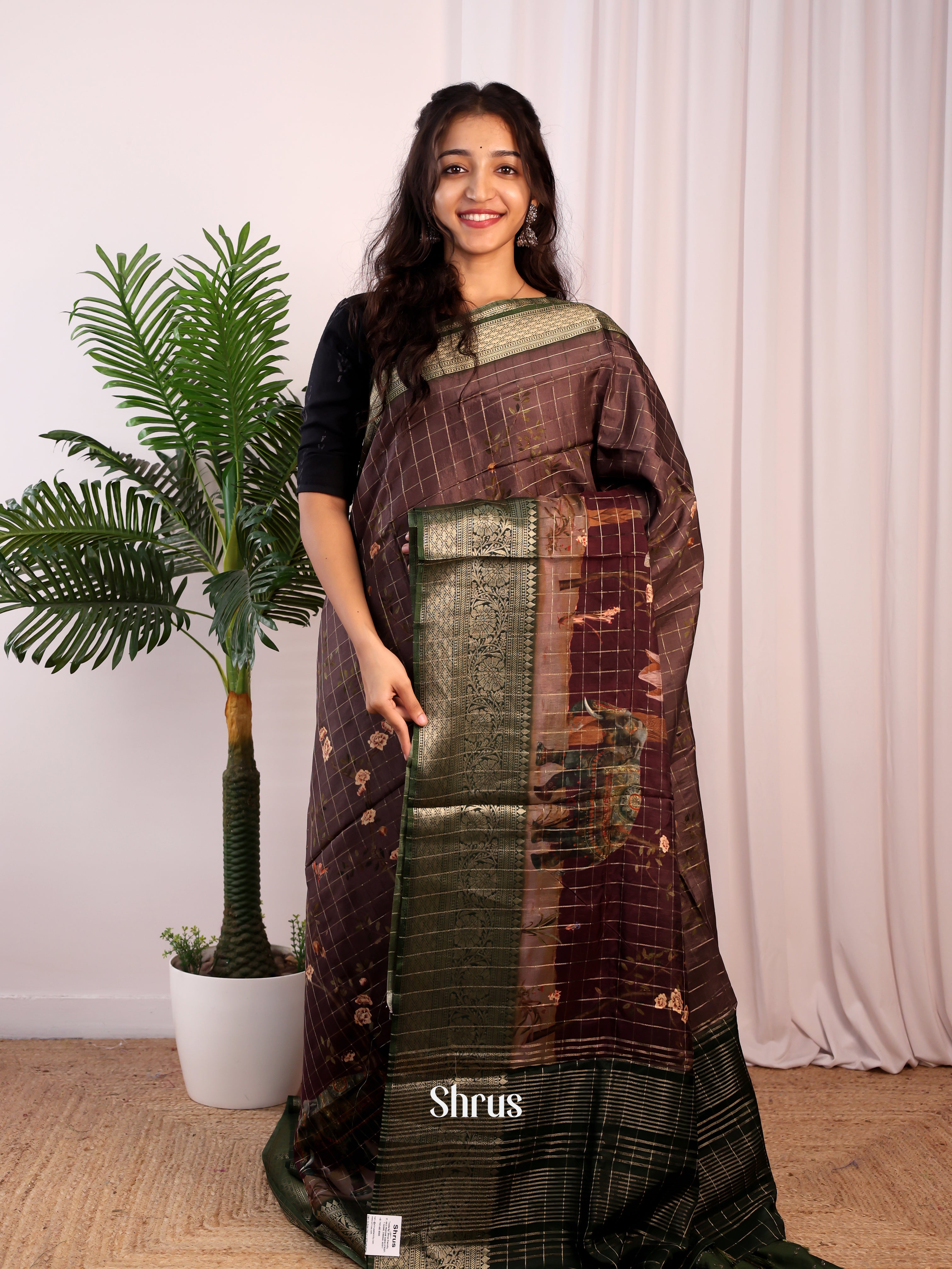 Brown & Green- Semi Dola silk Saree