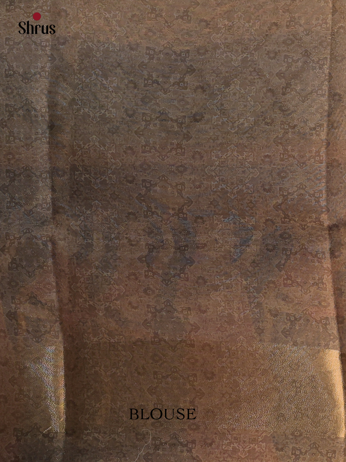 Golden Brown - Semi Tissue Saree - Shop on Shrus.com