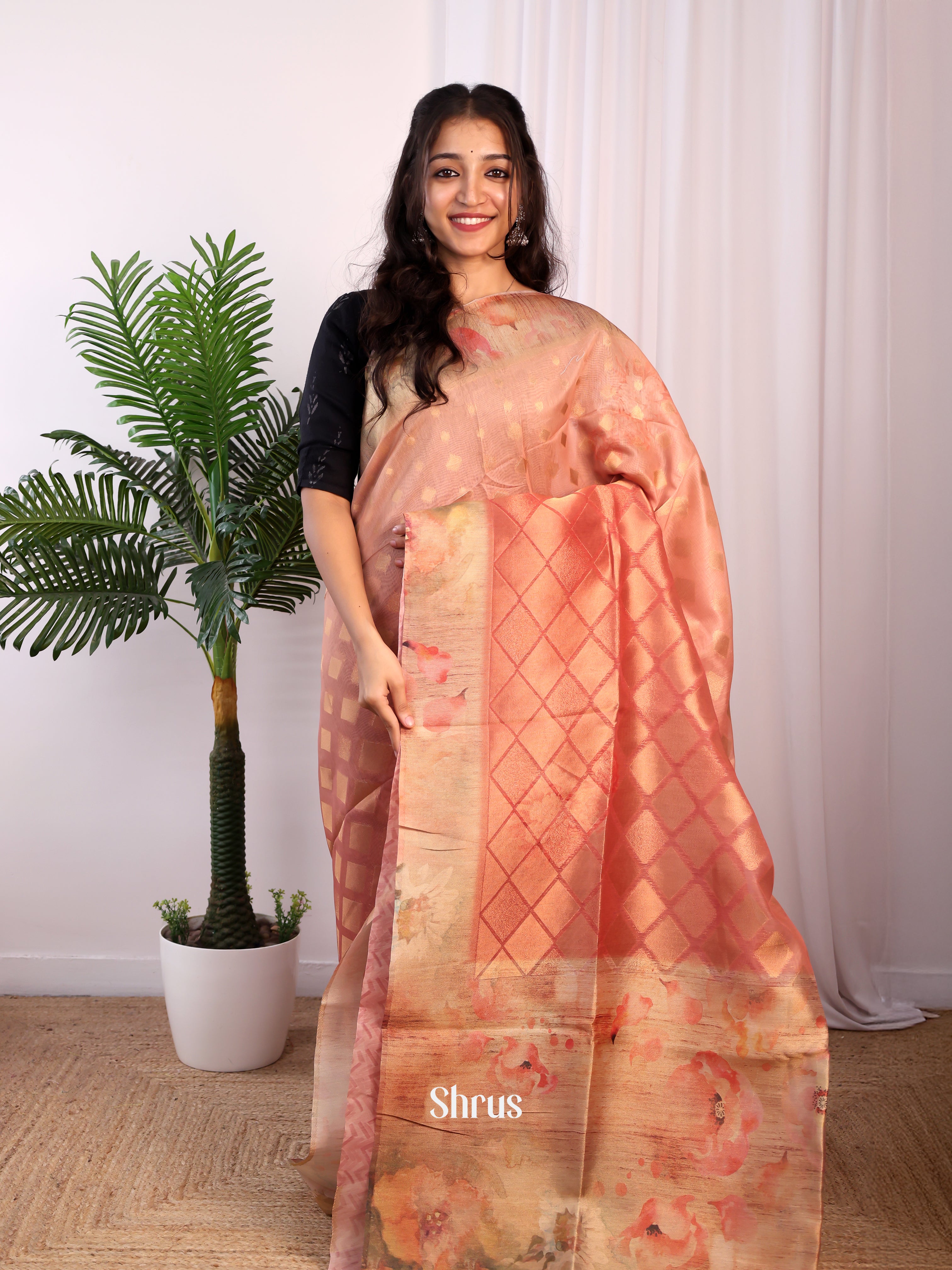 Peachish Pink & Beige - Semi Tissue Saree - Shop on Shrus.com