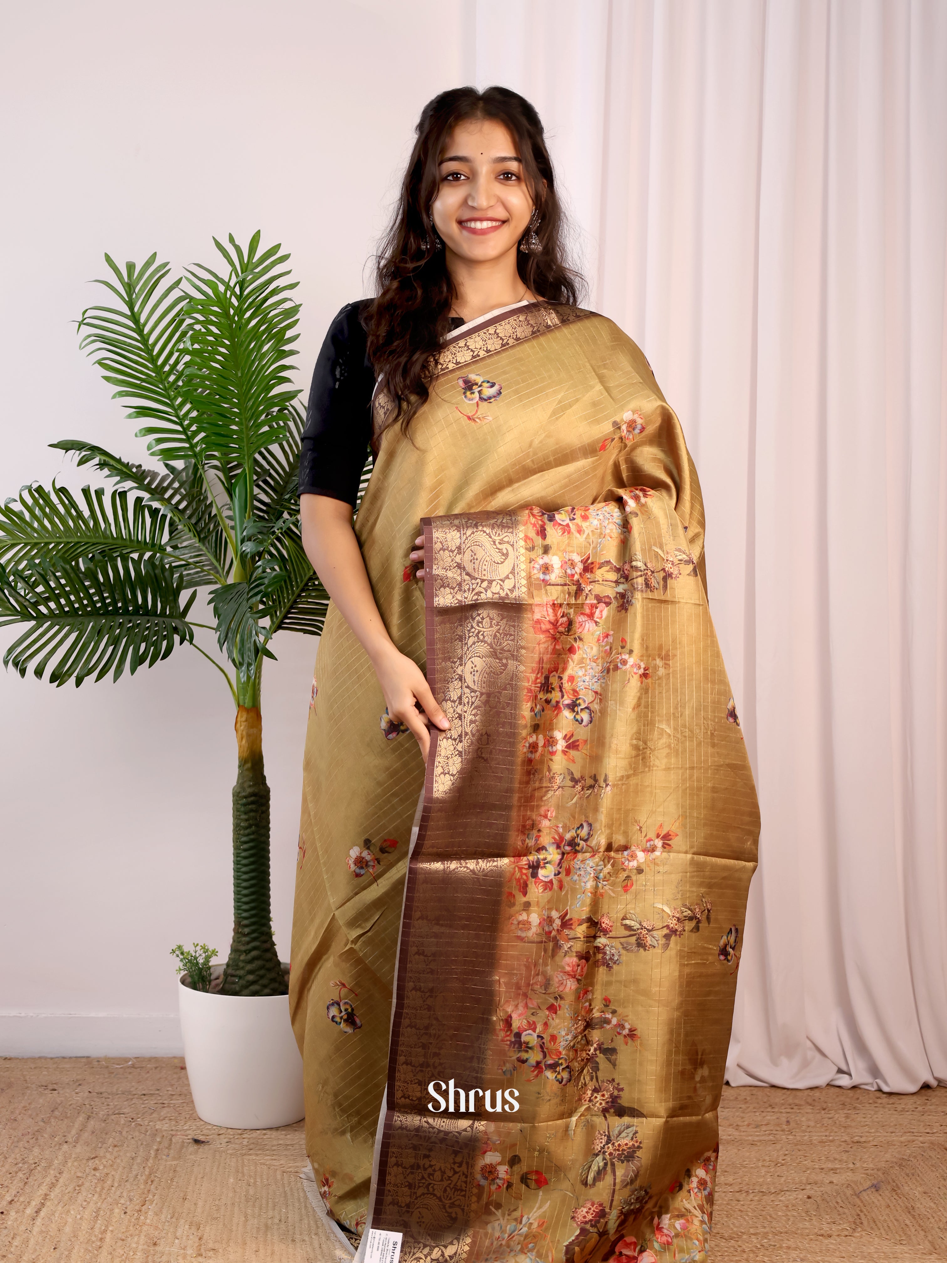 Beige & Brown - Semi Dola silk Saree