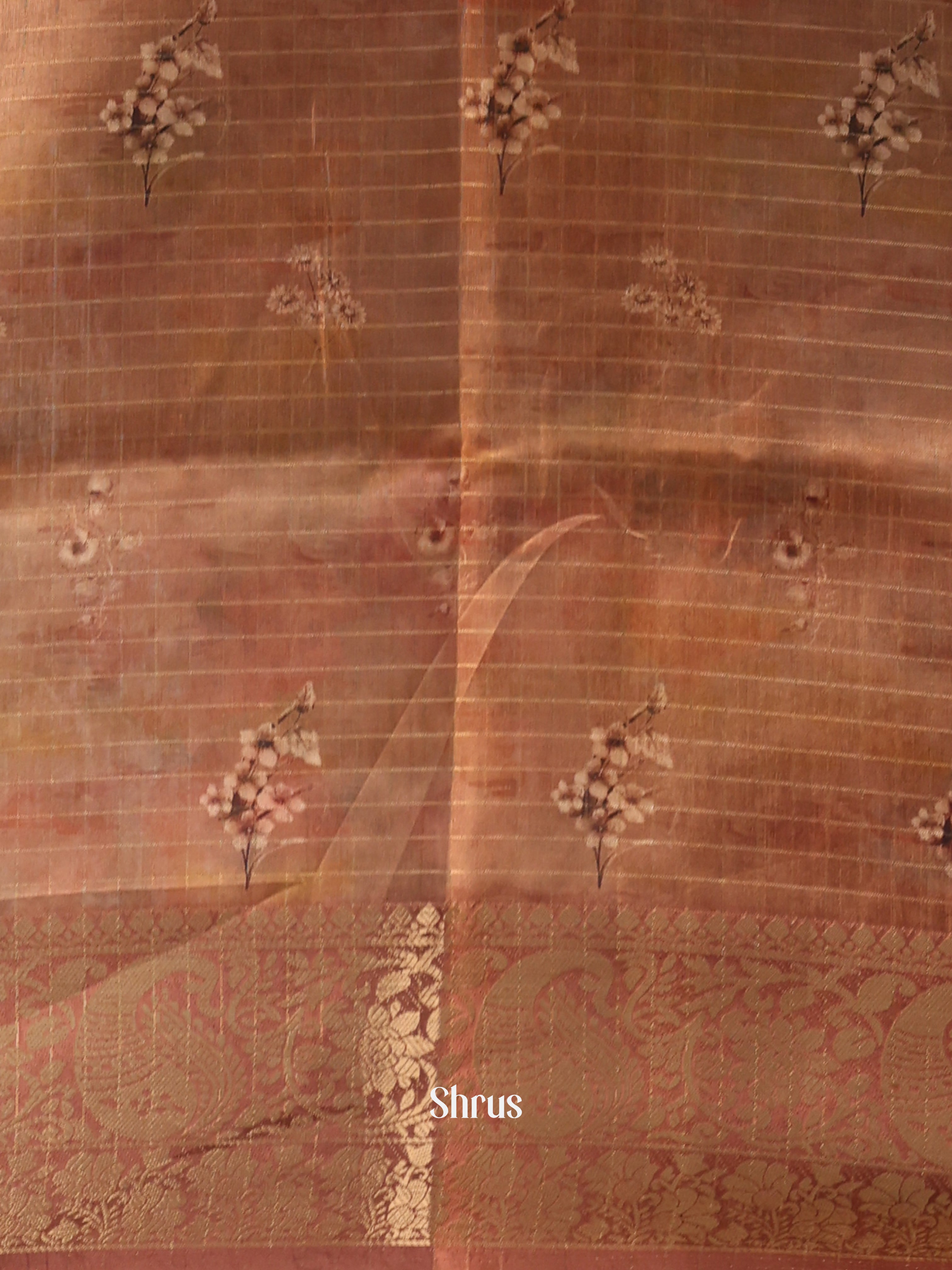 Brown - Semi Dola silk Saree