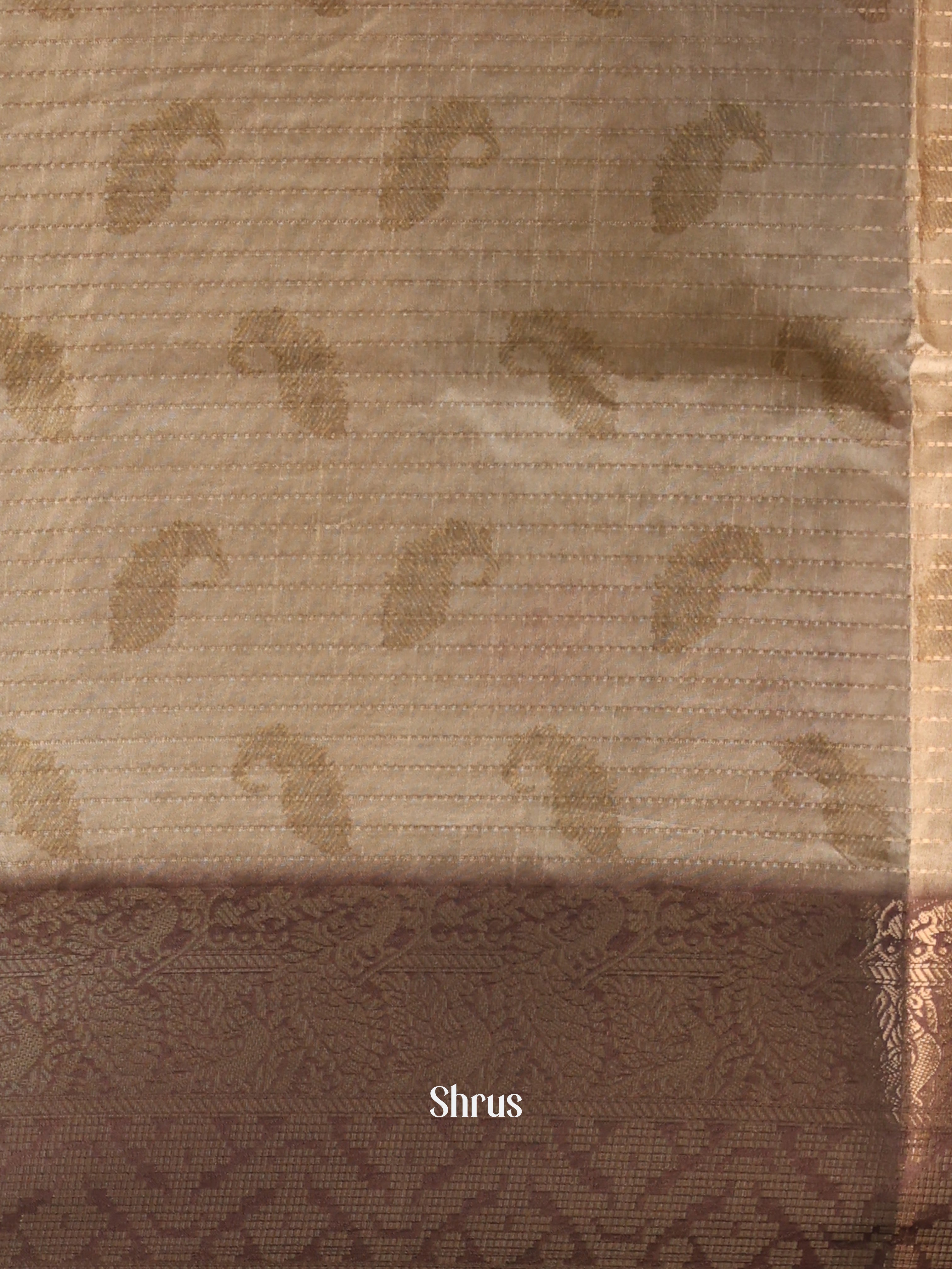 Beige & Brown- Semi Dola silk Saree