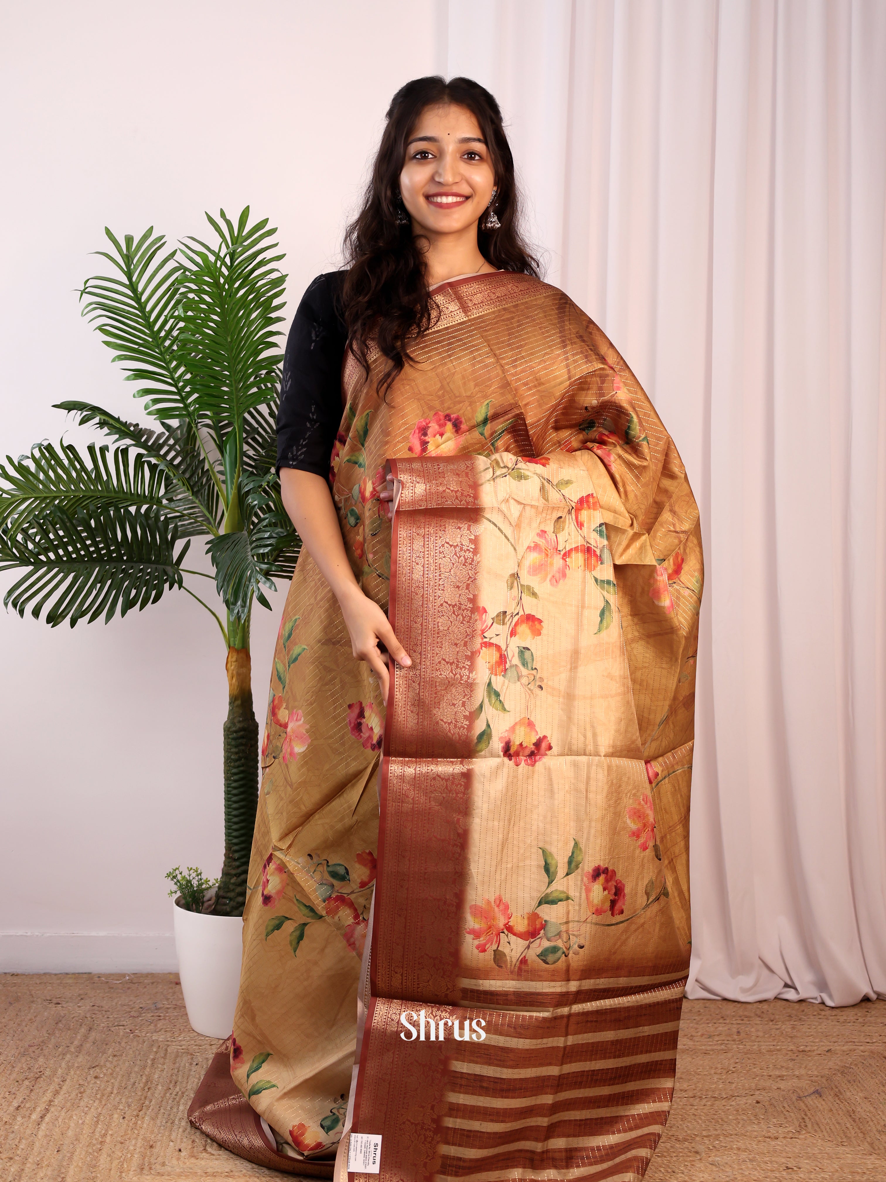 Lite & Dark Brown - Semi Dola silk Saree