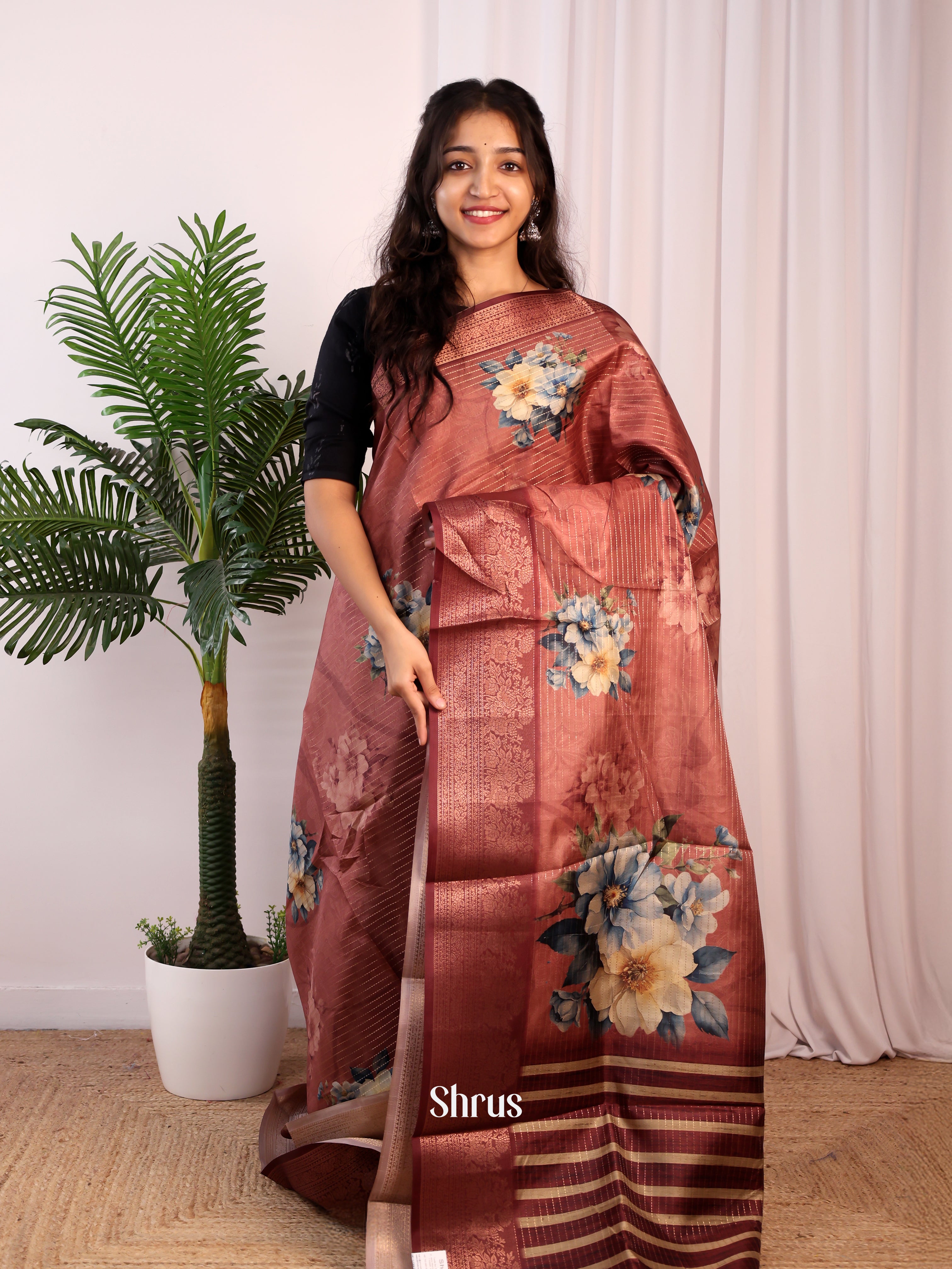 Brown - Semi Dola silk Saree