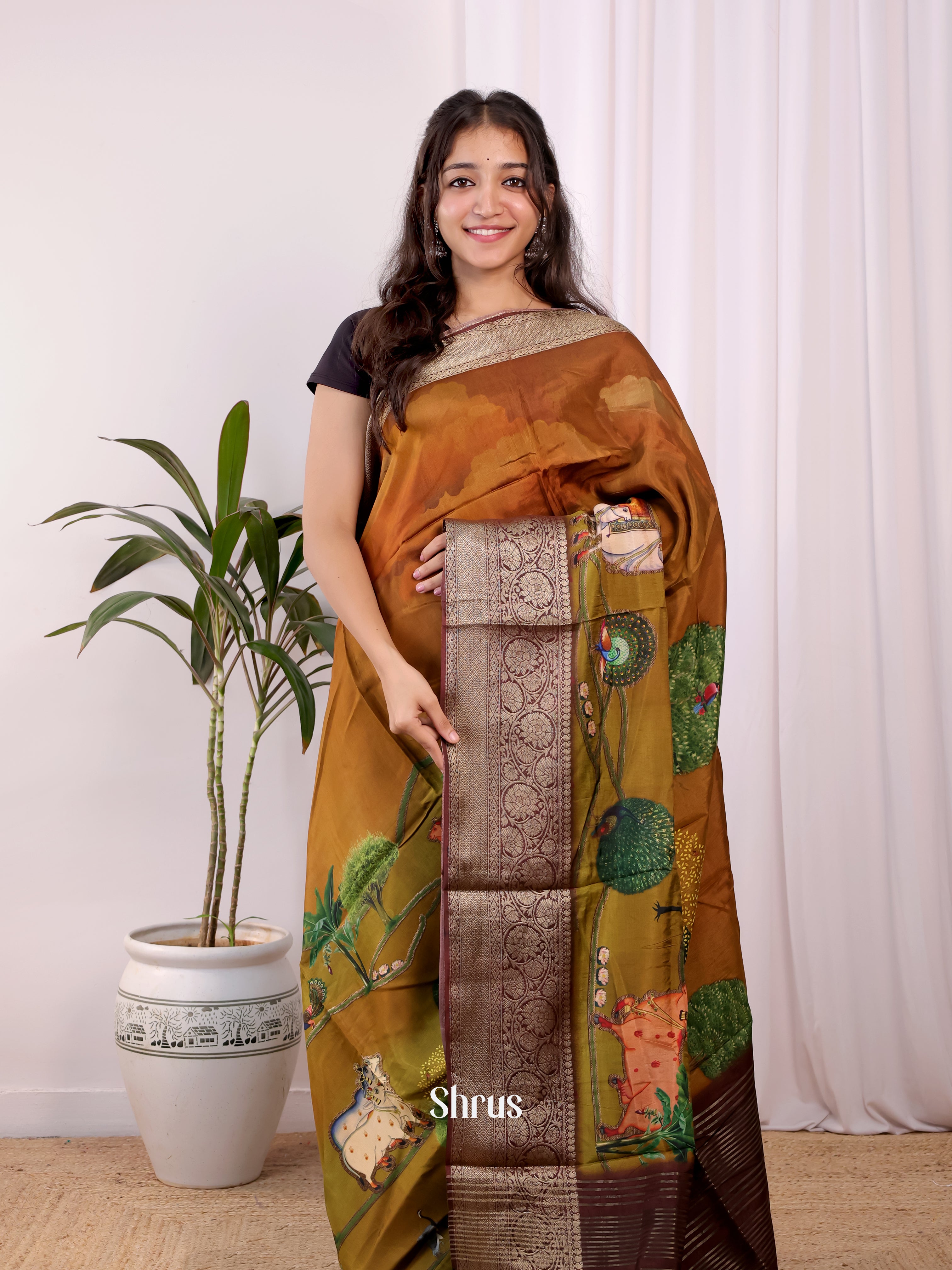 CJS30190 - Semi Dola silk Saree