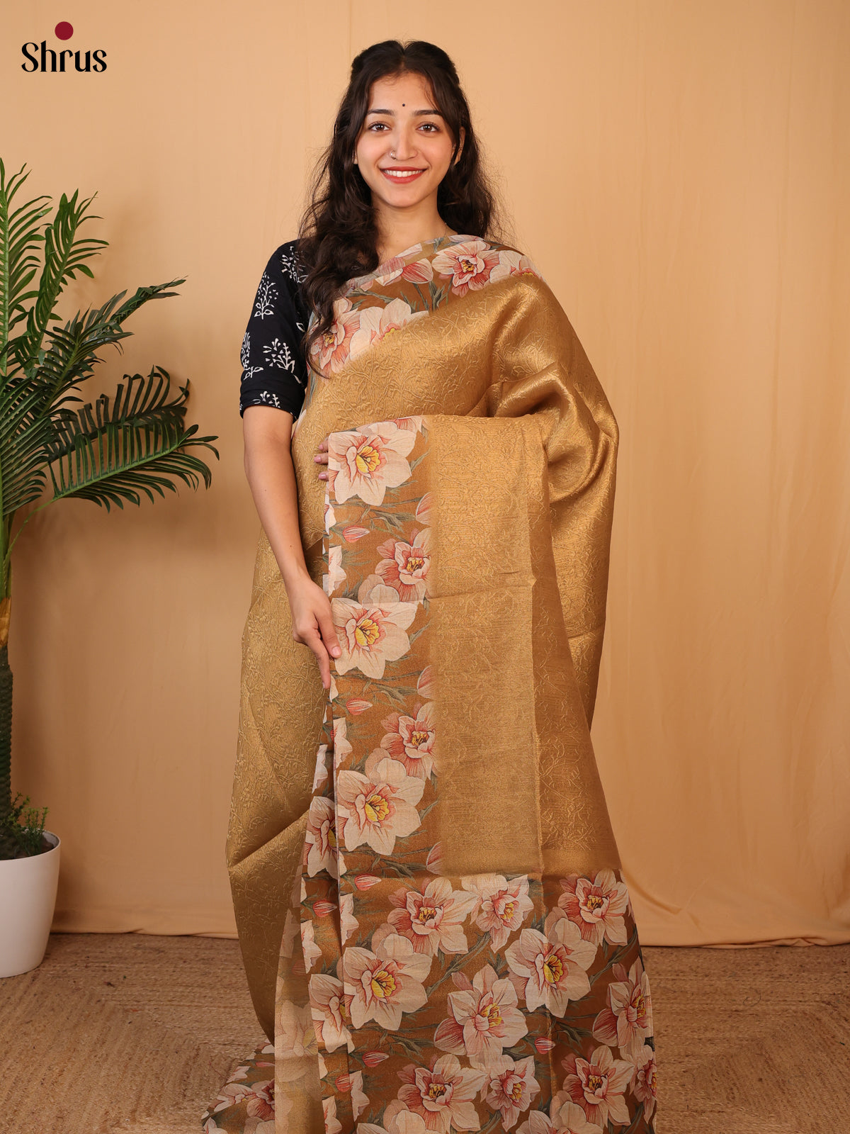 Gold & Brown - Semi Tissue Saree