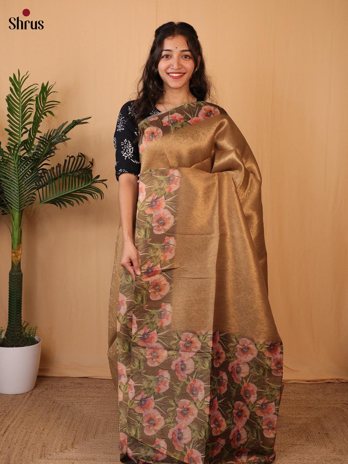 Golden Brown  - Semi Tissue Saree