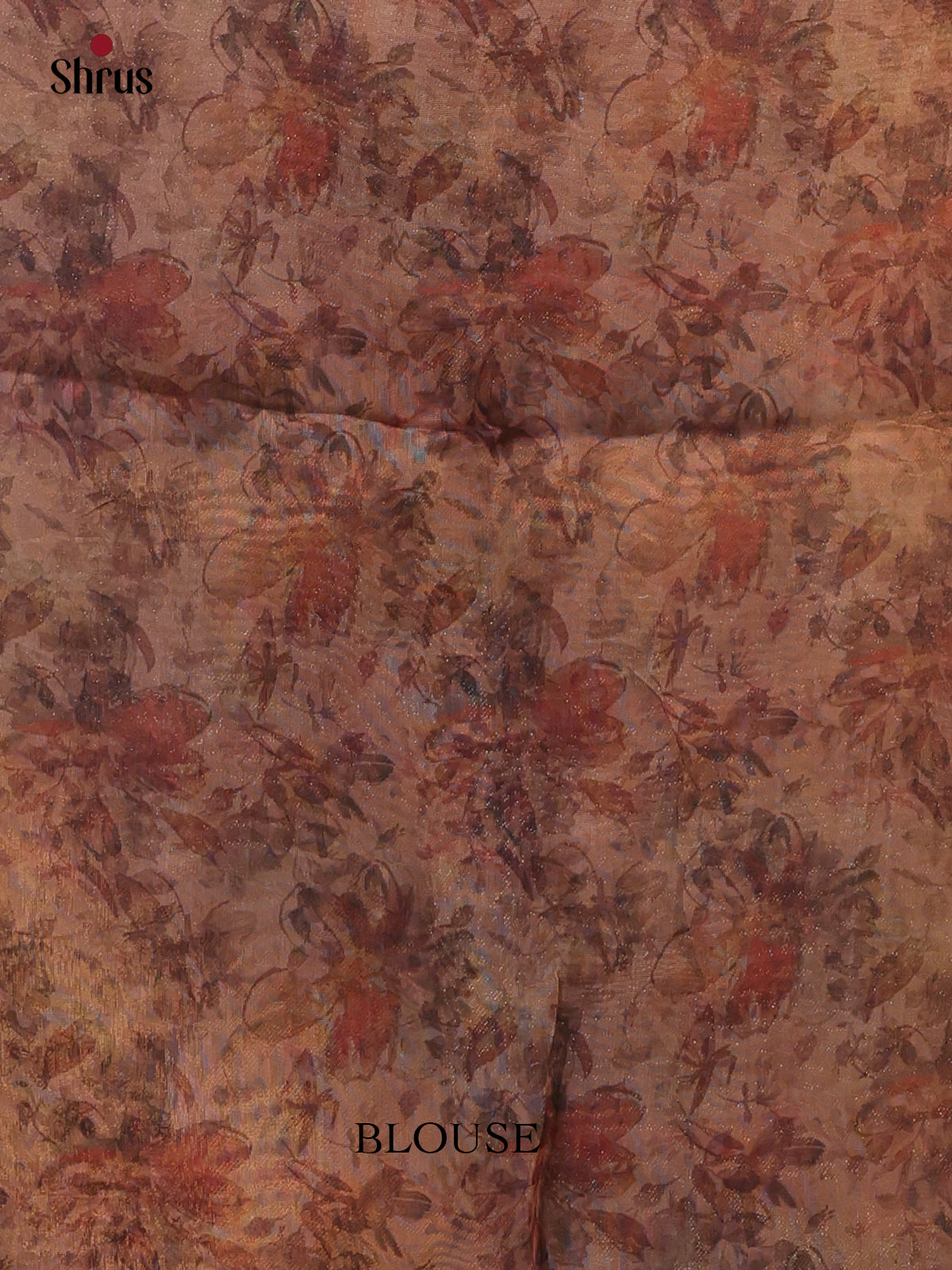 Goldish Brown - Semi Tissue Saree - Shop on Shrus.com