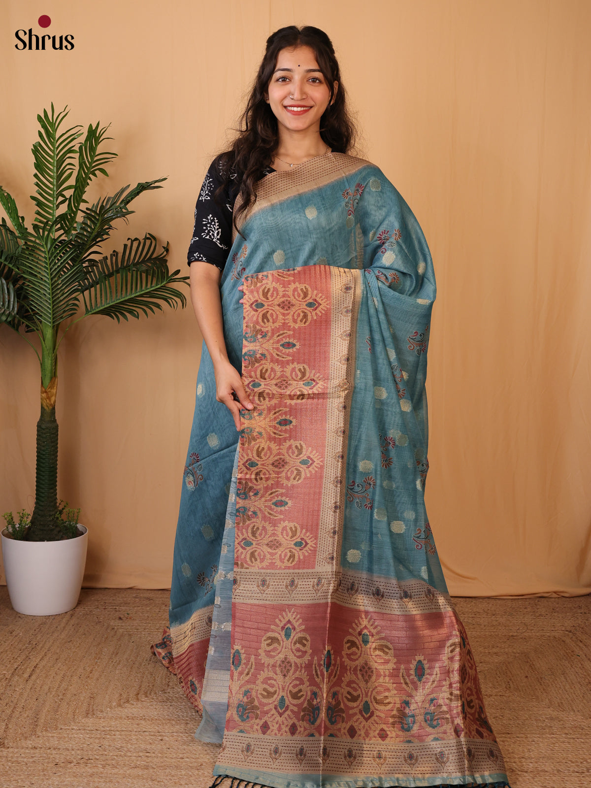 Blue & Brown - Semi Tissue Saree