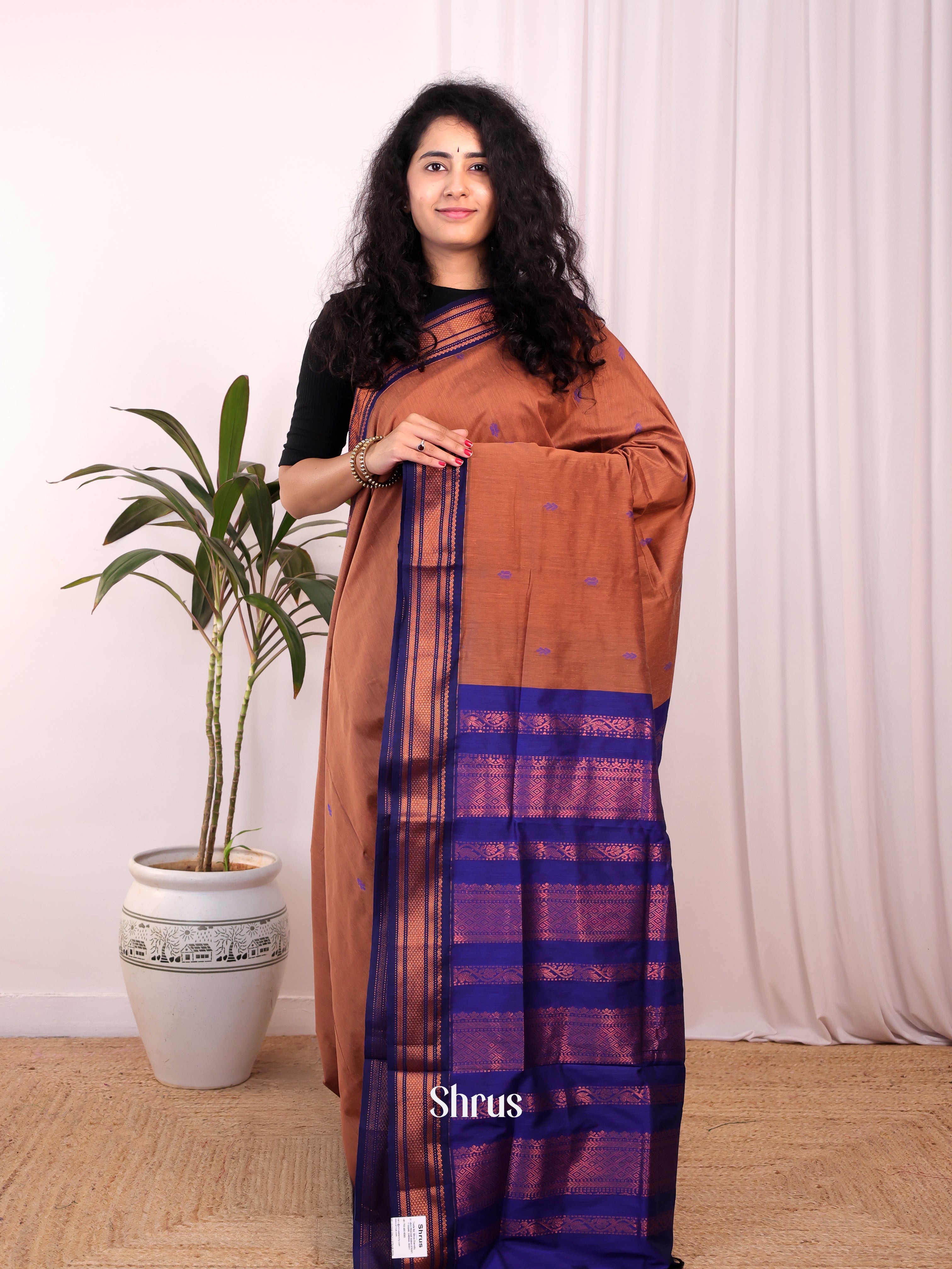 Brown & Blue - Kalyani Cotton Saree