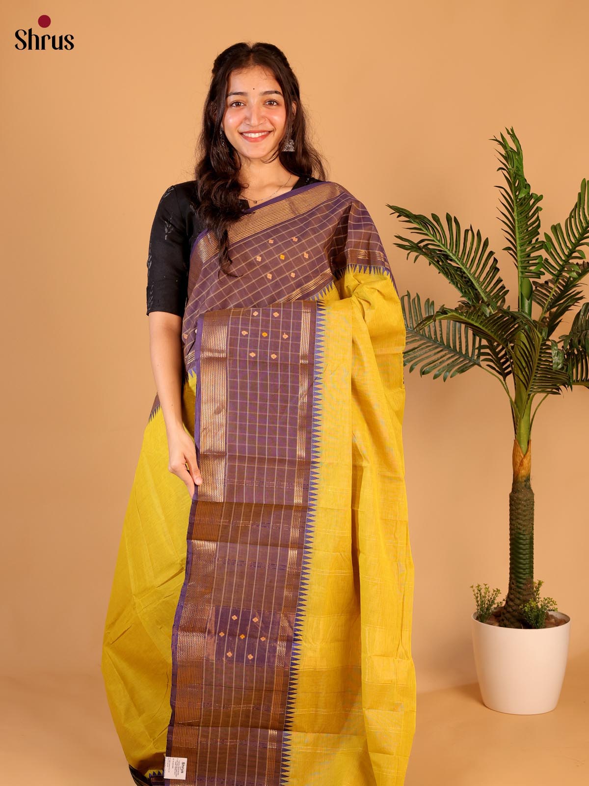 Mustard & Purple - Chettinad Cotton Saree