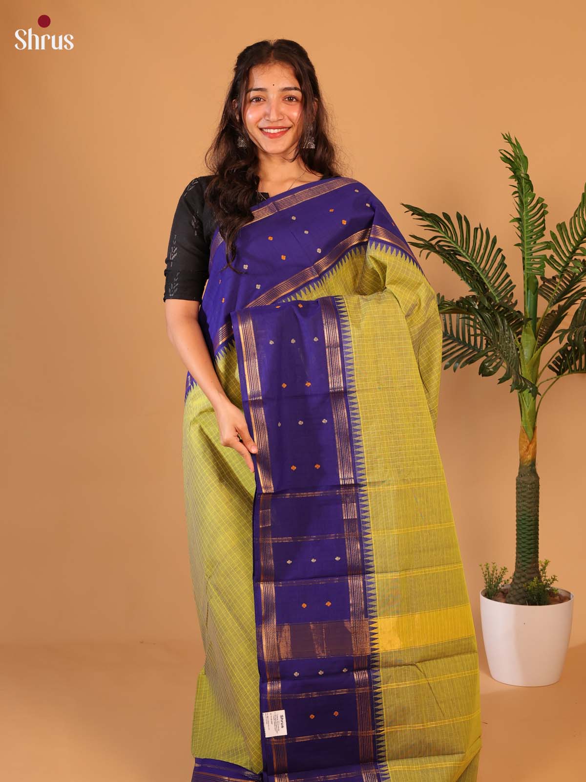 Green & Blue - Chettinad Cotton Saree