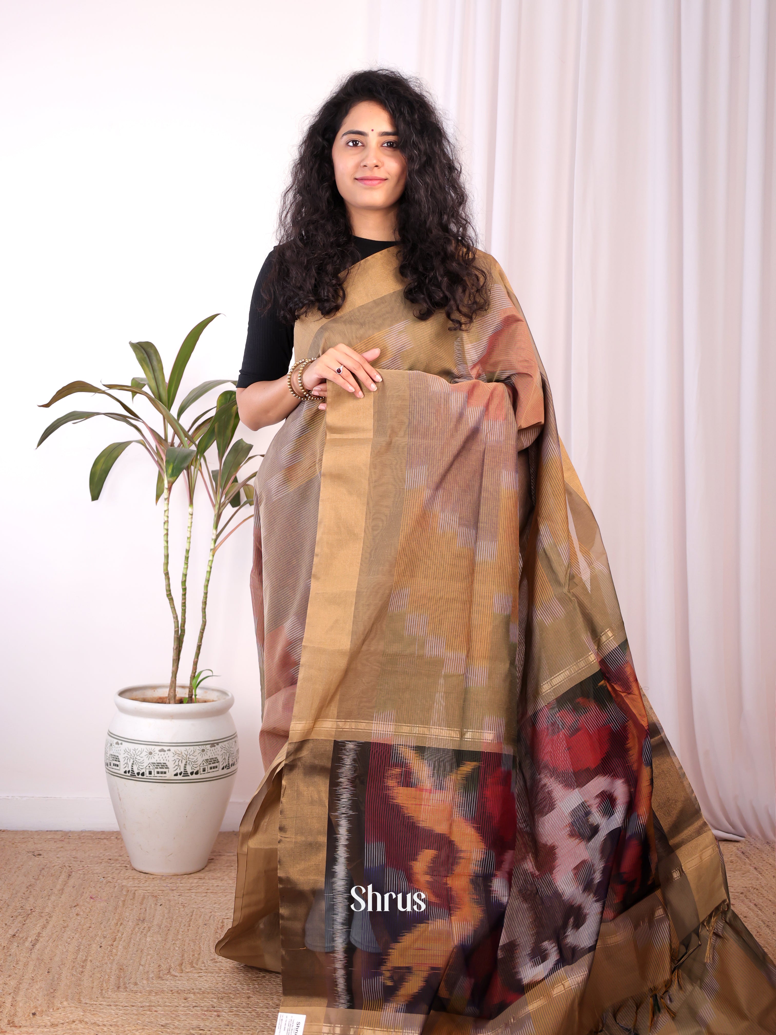 Beige - Ikkat Kora Saree