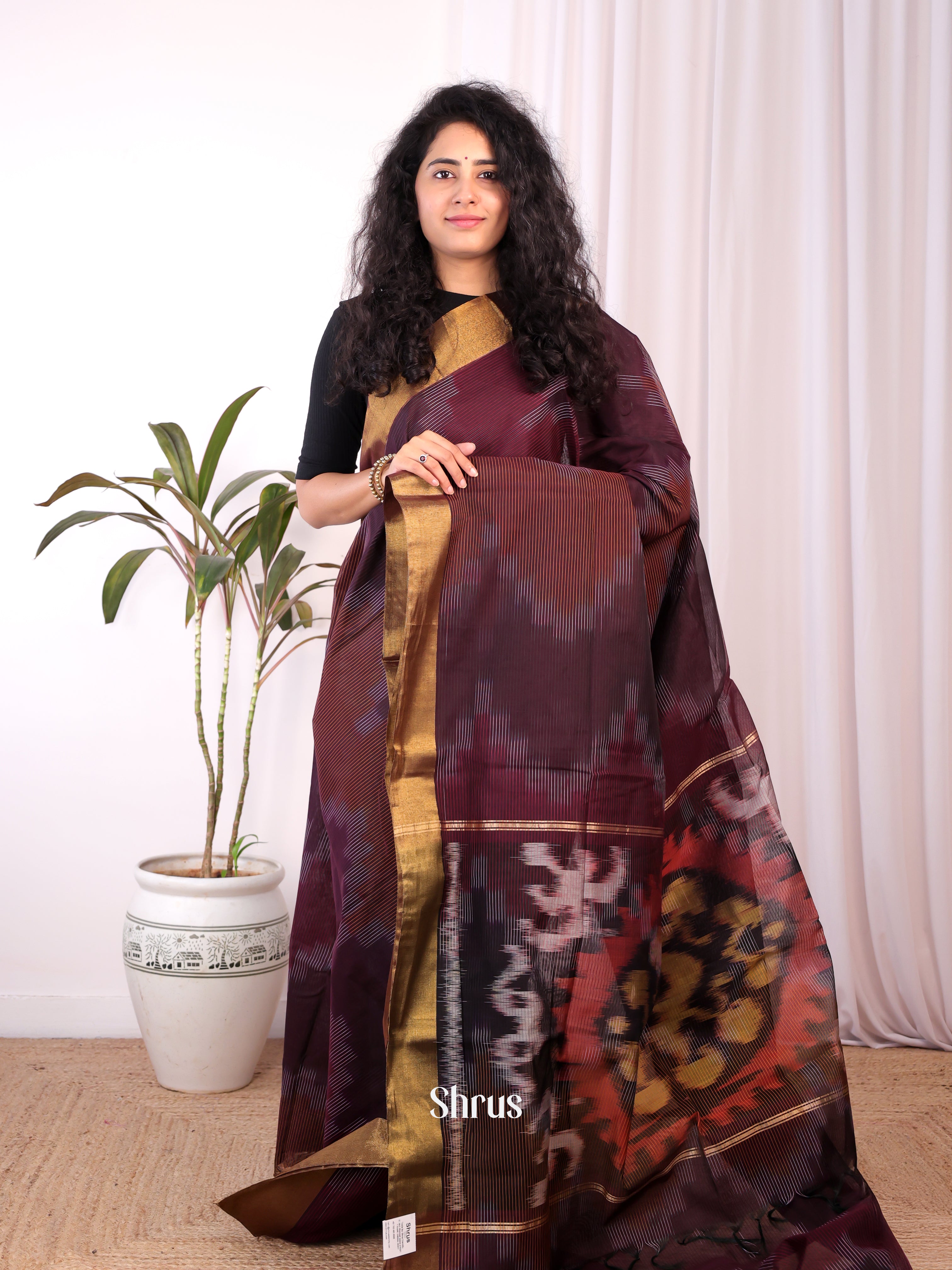 Brown - Ikkat Kora Saree