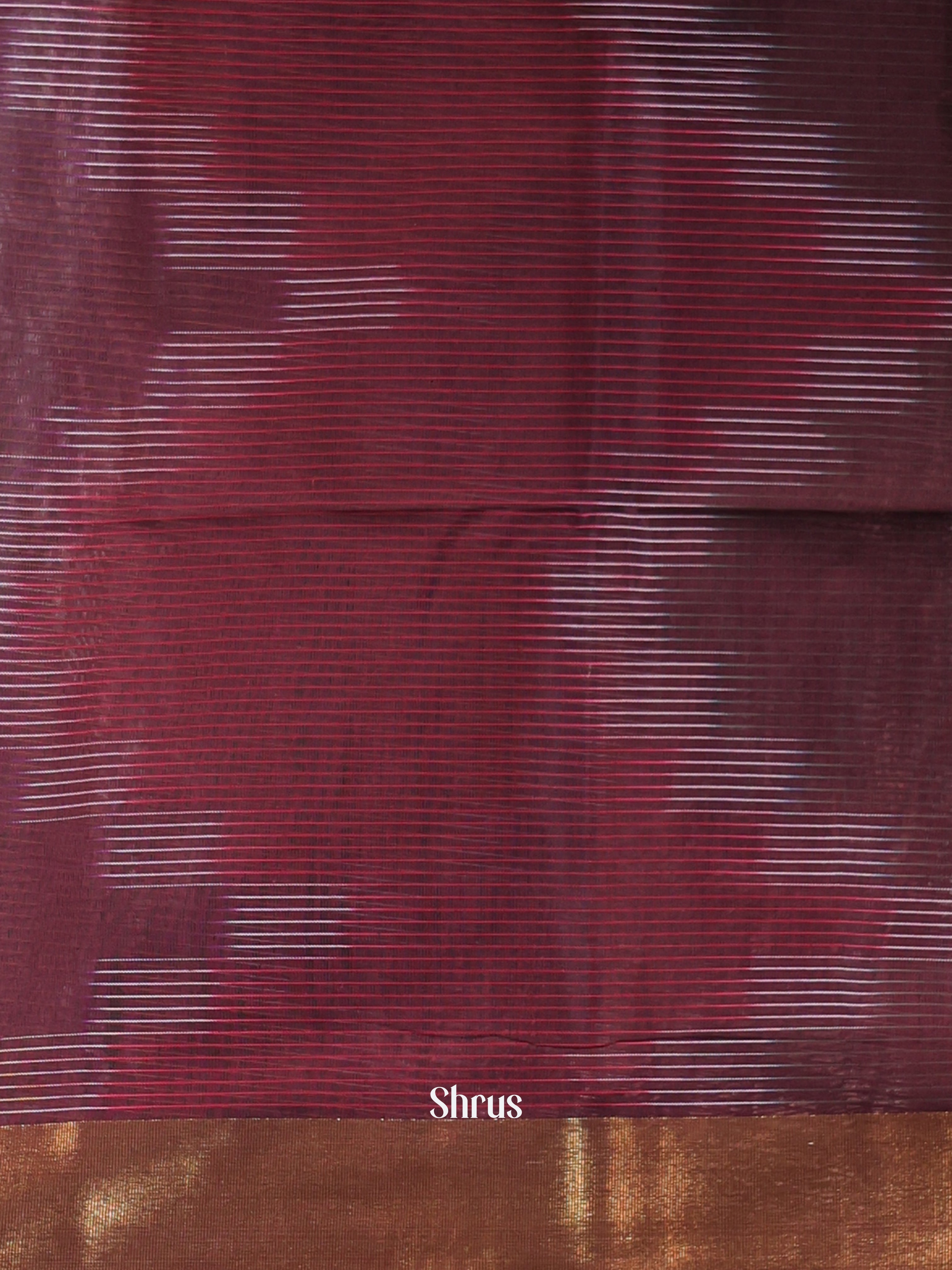 Brown - Ikkat Kora Saree