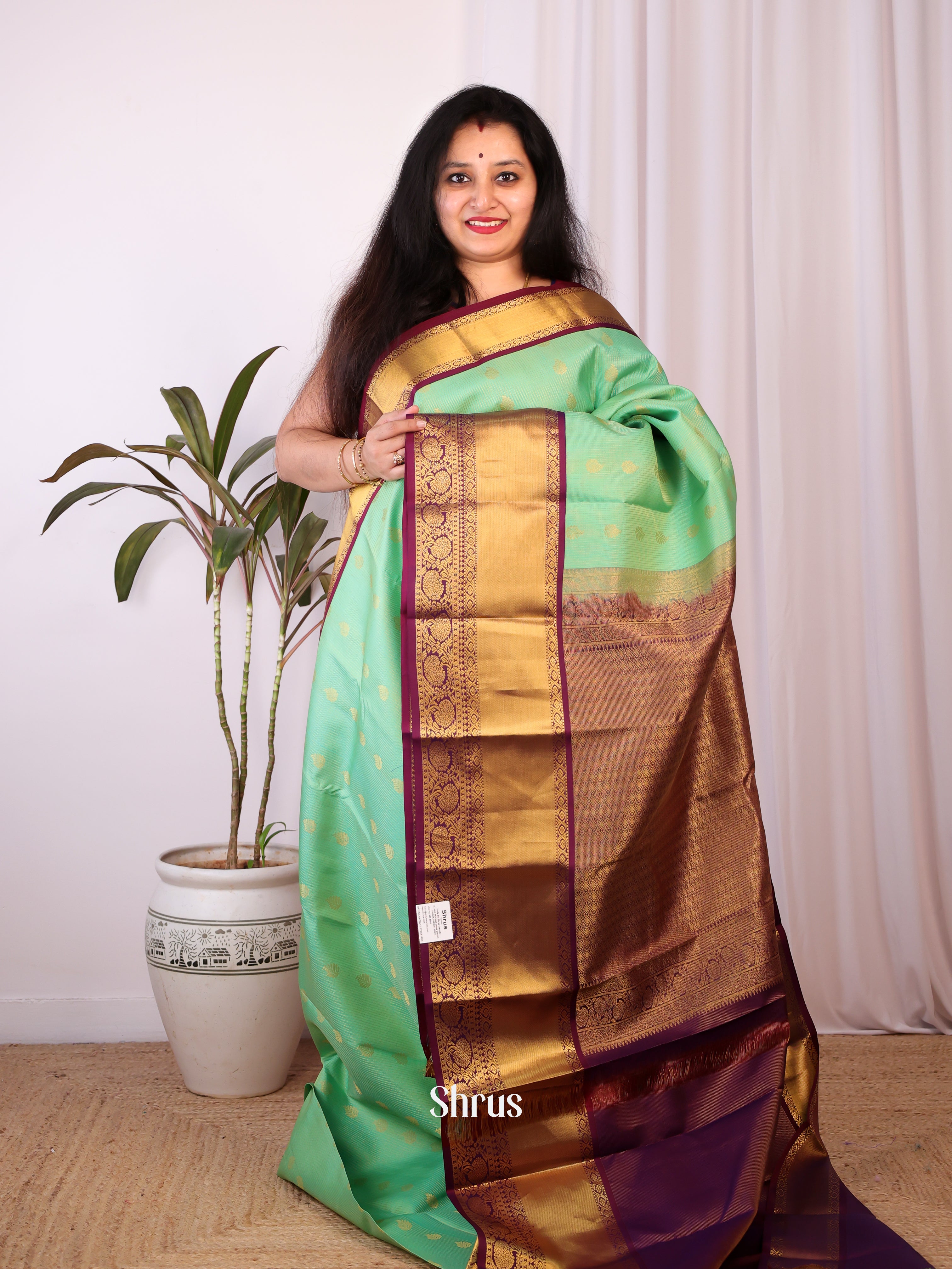 Green &  Brown - Kanchipuram silk Saree