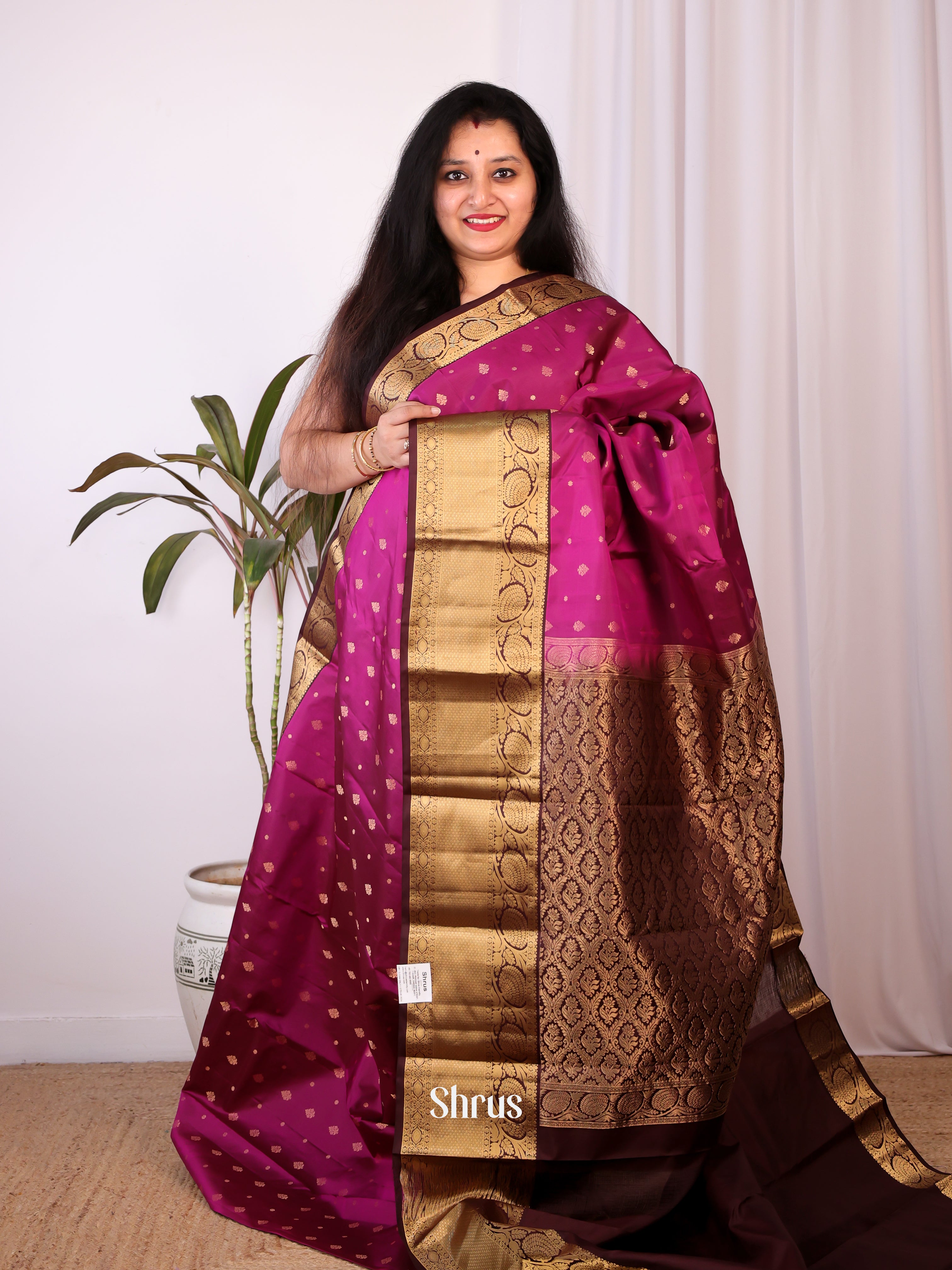 Purple & Brown- Kanchipuram silk Saree - Shop on Shrus.com