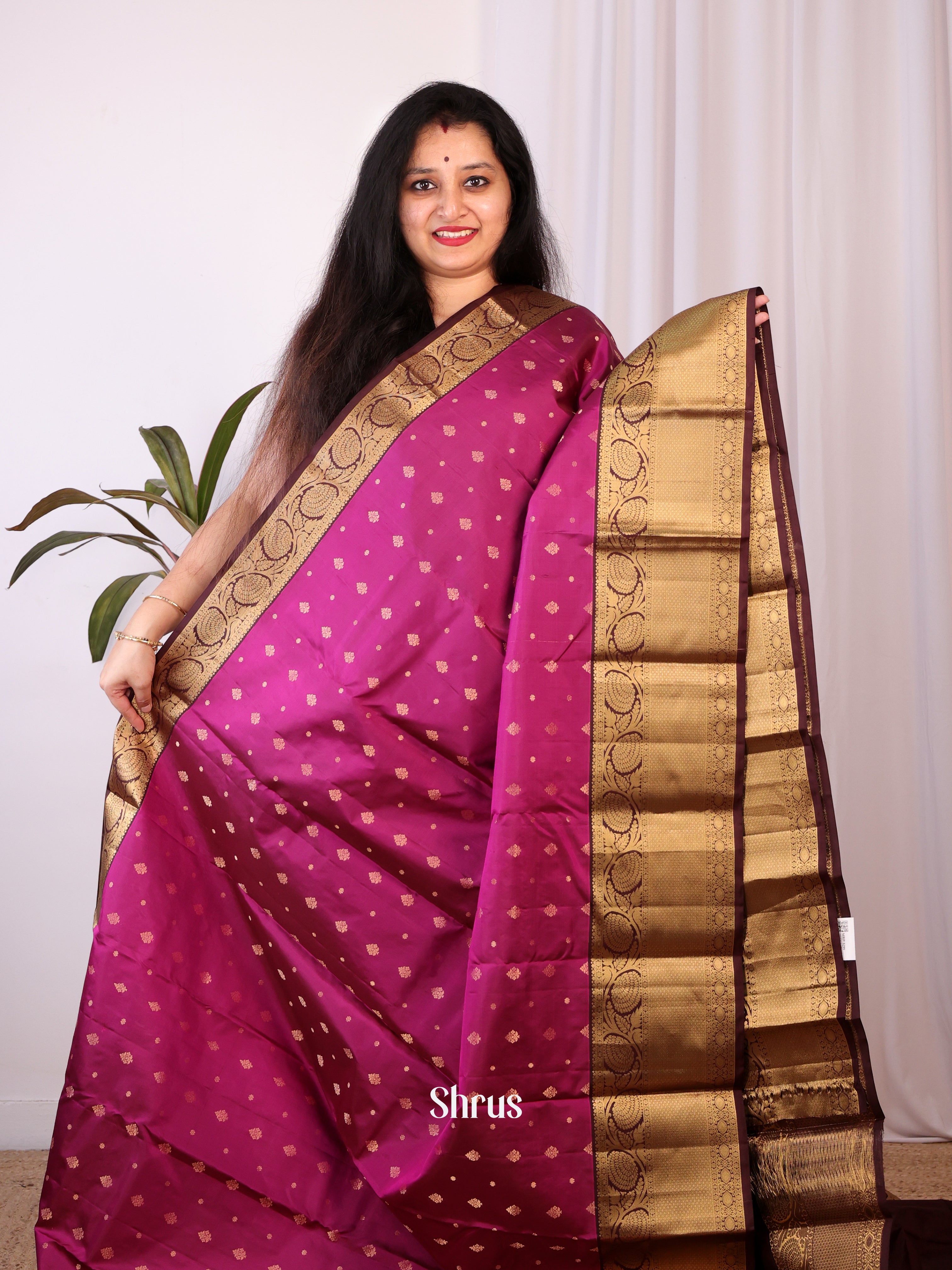 Purple & Brown- Kanchipuram silk Saree - Shop on Shrus.com