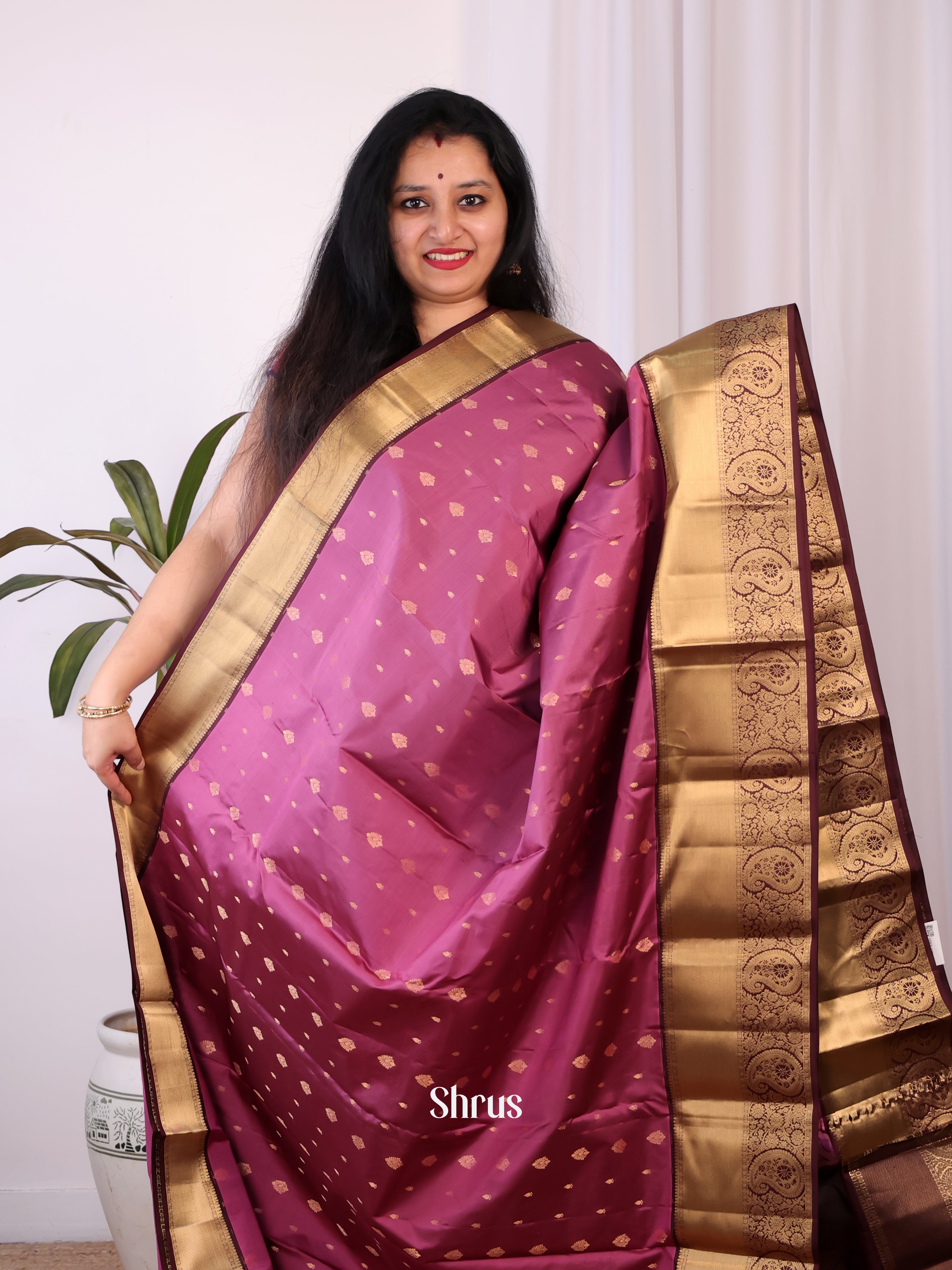 Purple & Brown- Kanchipuram silk Saree - Shop on Shrus.com