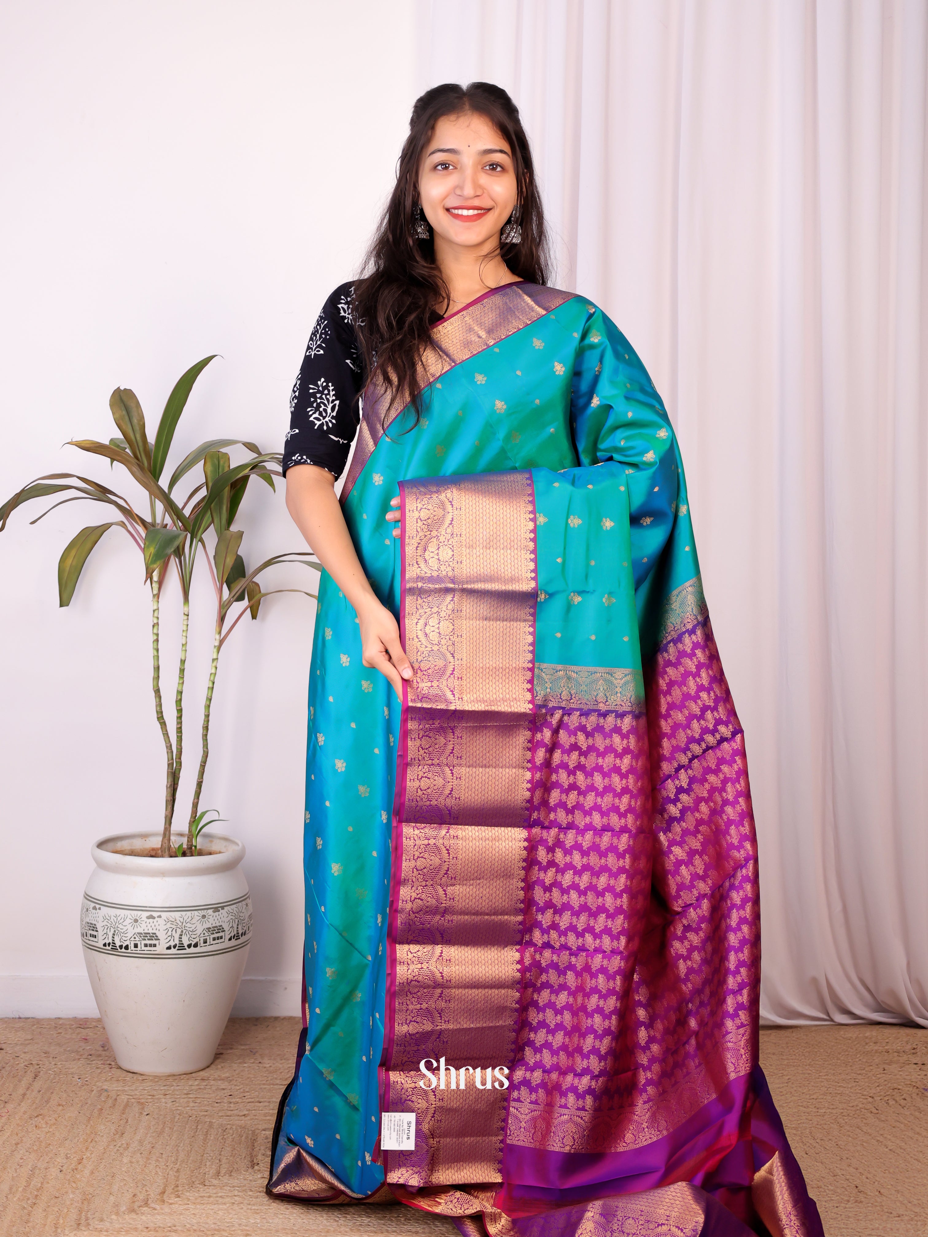 Blue & Purple - Kanchipuram silk Saree