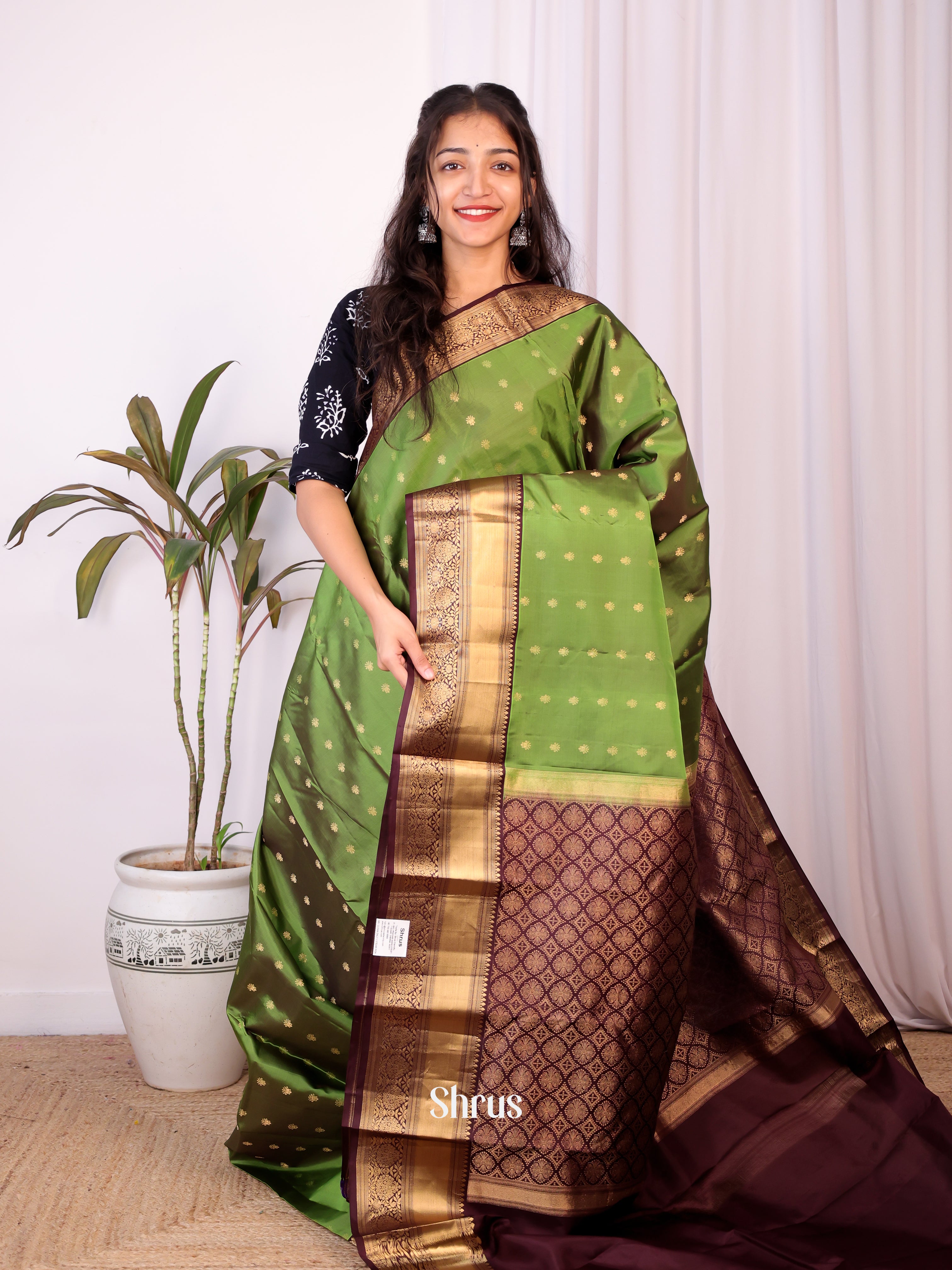 Green & Brown - Kanchipuram silk Saree - Shop on Shrus.com