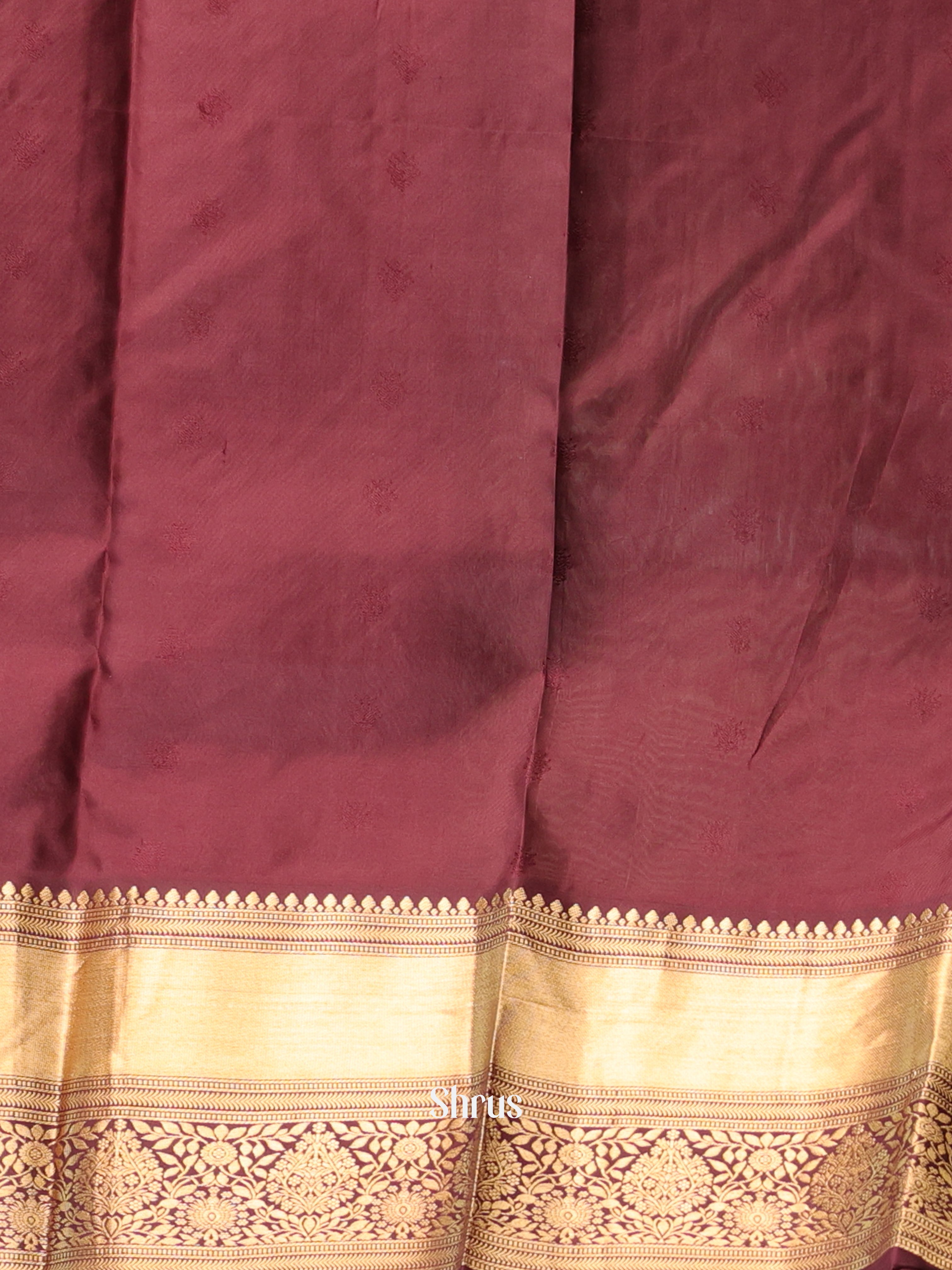 Green & Brown - Kanchipuram silk Saree - Shop on Shrus.com