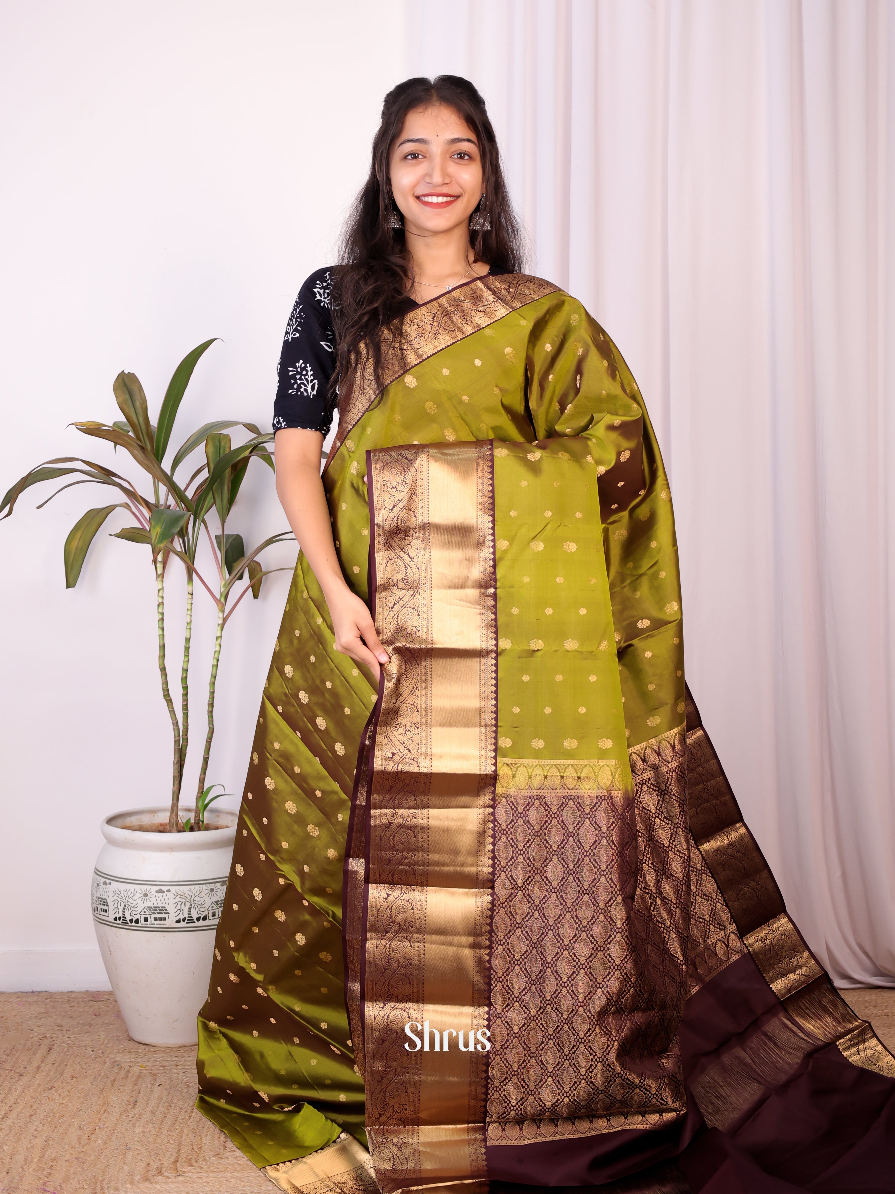 Green  & Brown - Kanchipuram silk Saree - Shop on Shrus.com