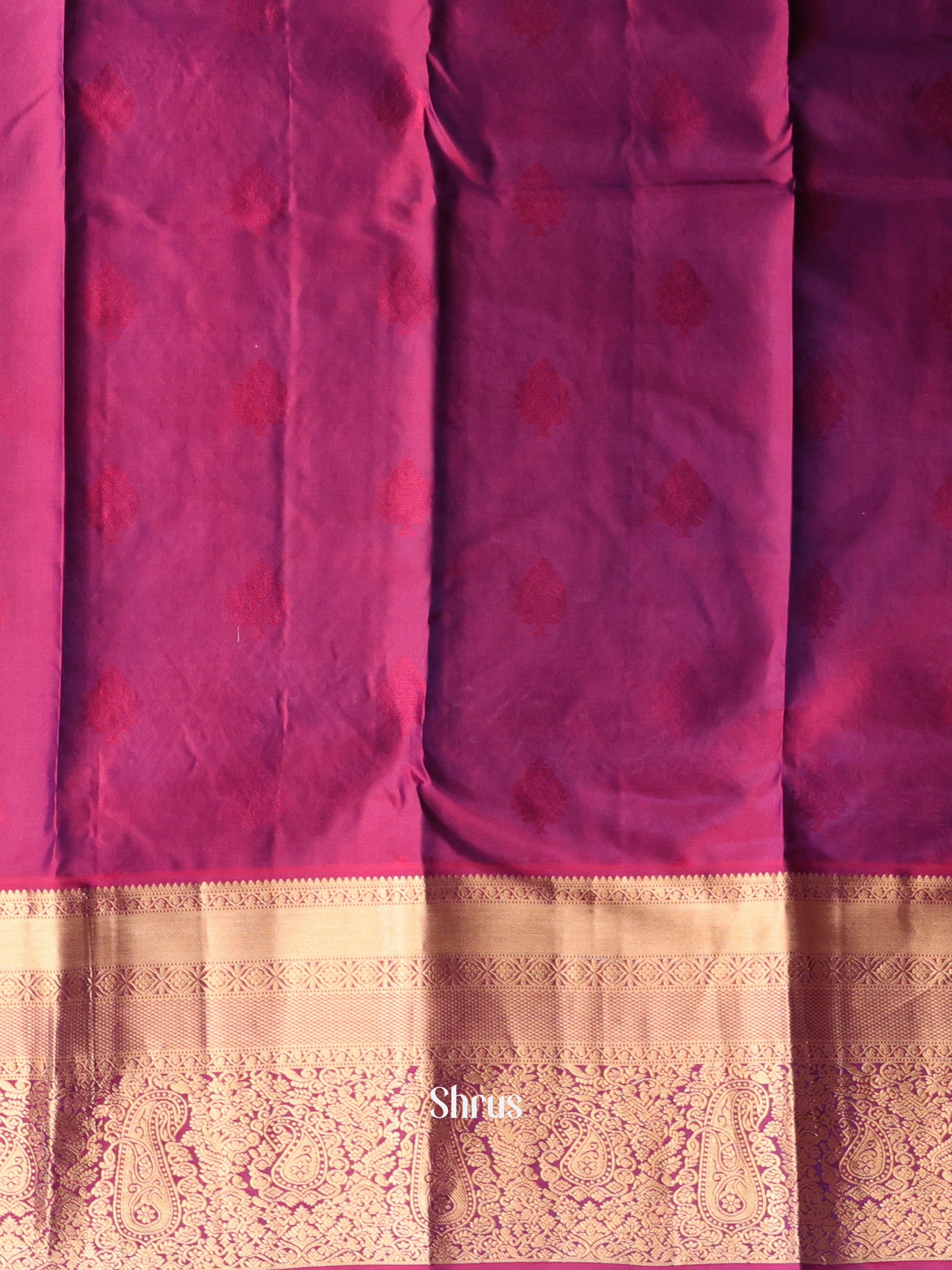 Violet &  Purple - Kanchipuram silk Saree