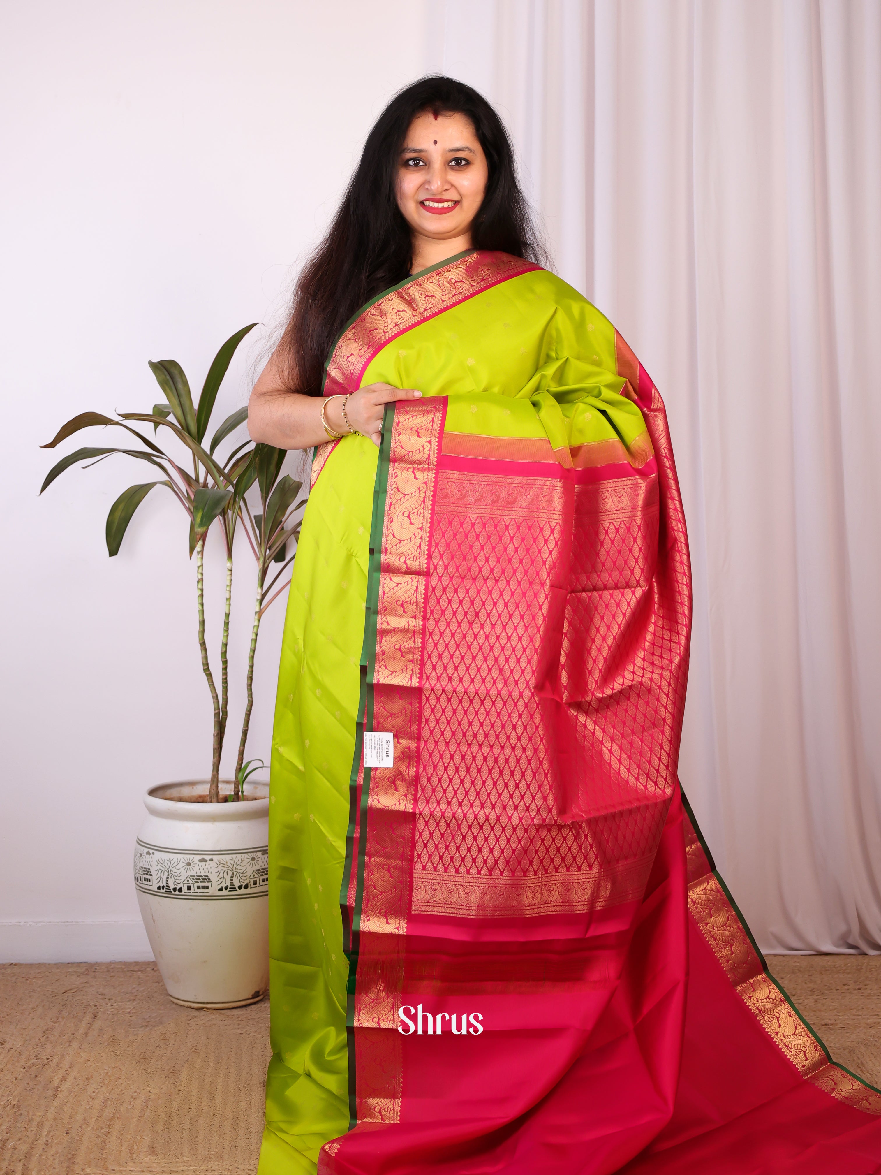 Parrot Green  & Maroon  - Kanchipuram silk Saree - Shop on Shrus.com