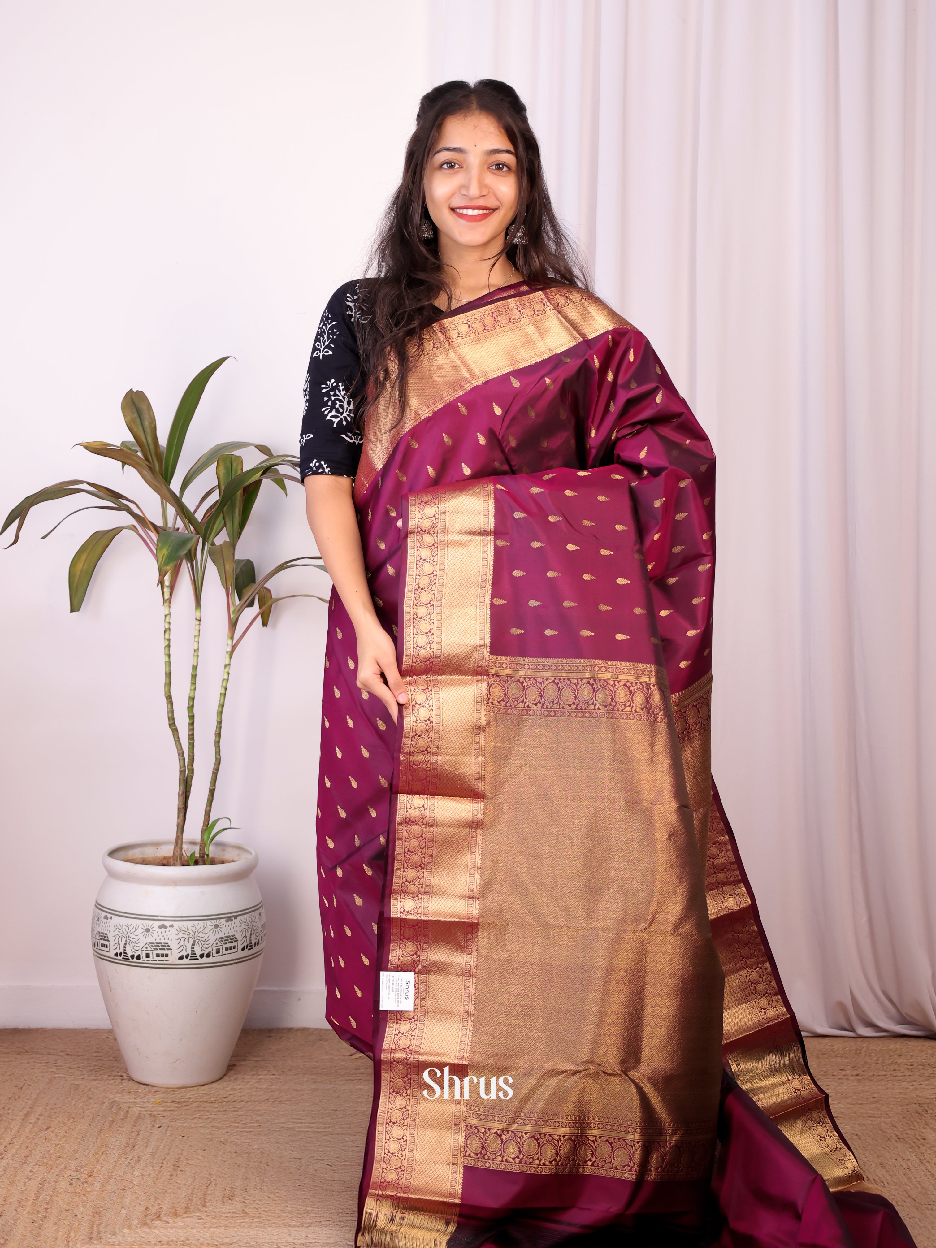 Wine(Single Tone) - Kanchipuram silk Saree - Shop on Shrus.com