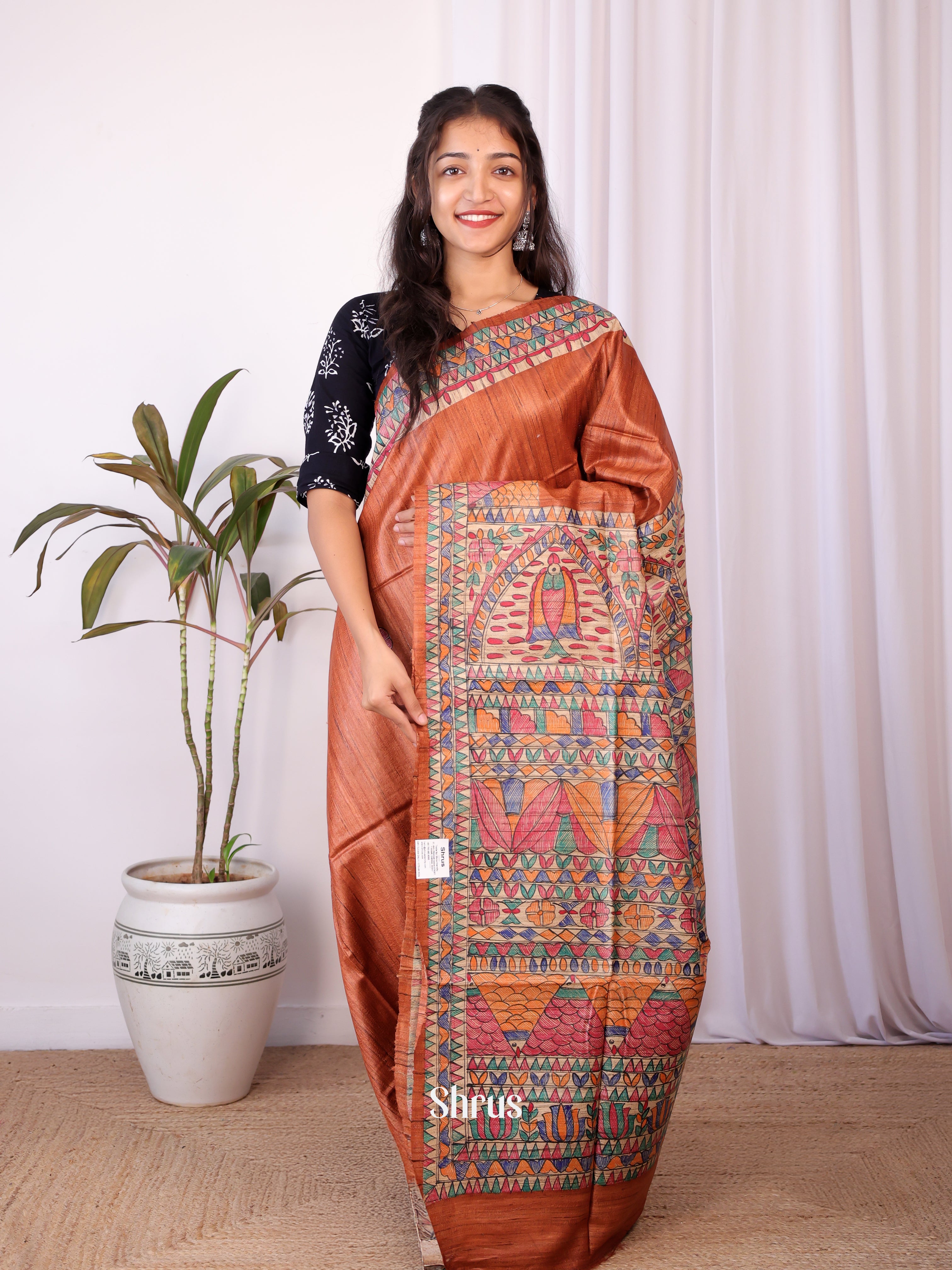 Brown & Beige - Tussar Saree