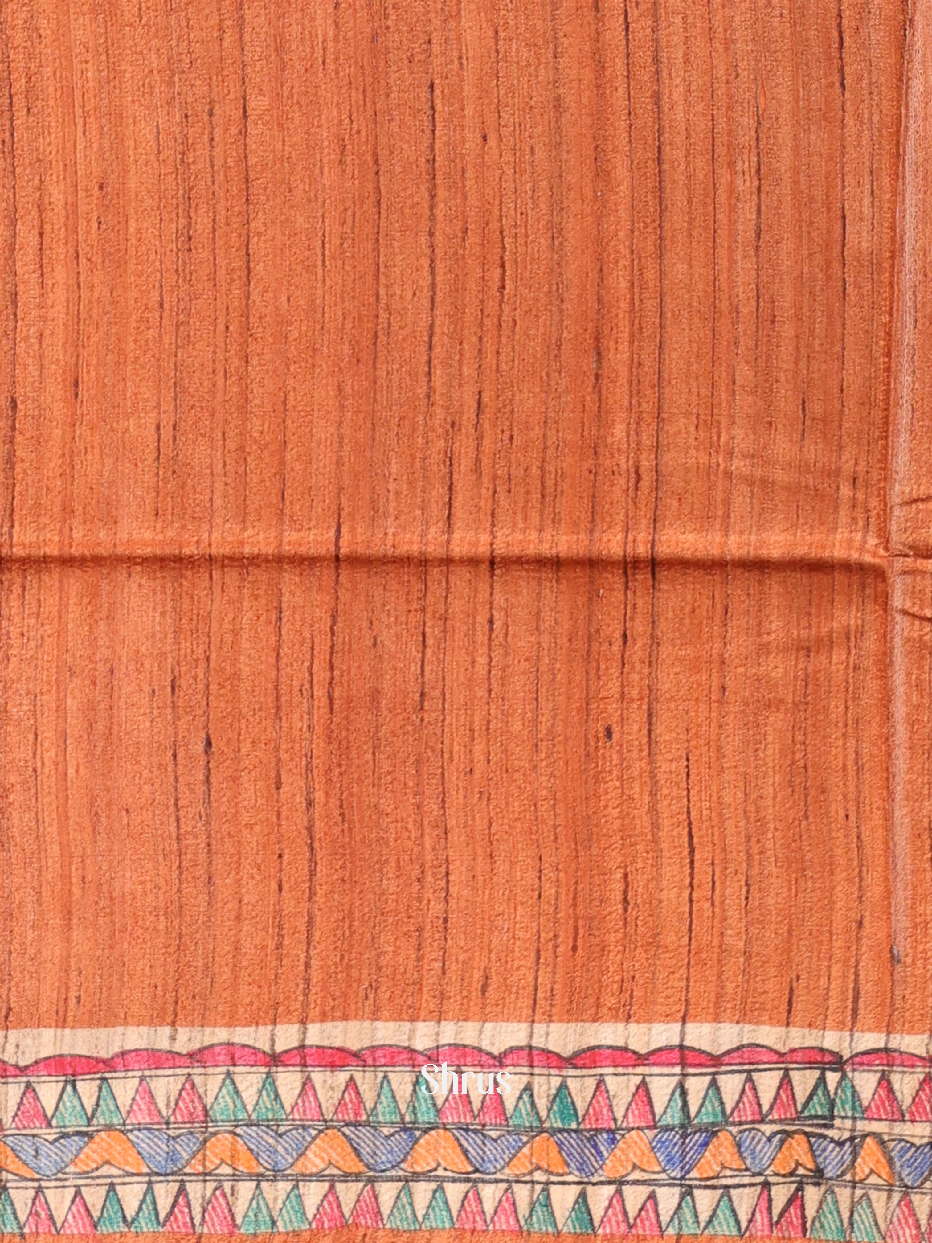 Brown & Beige - Tussar Saree