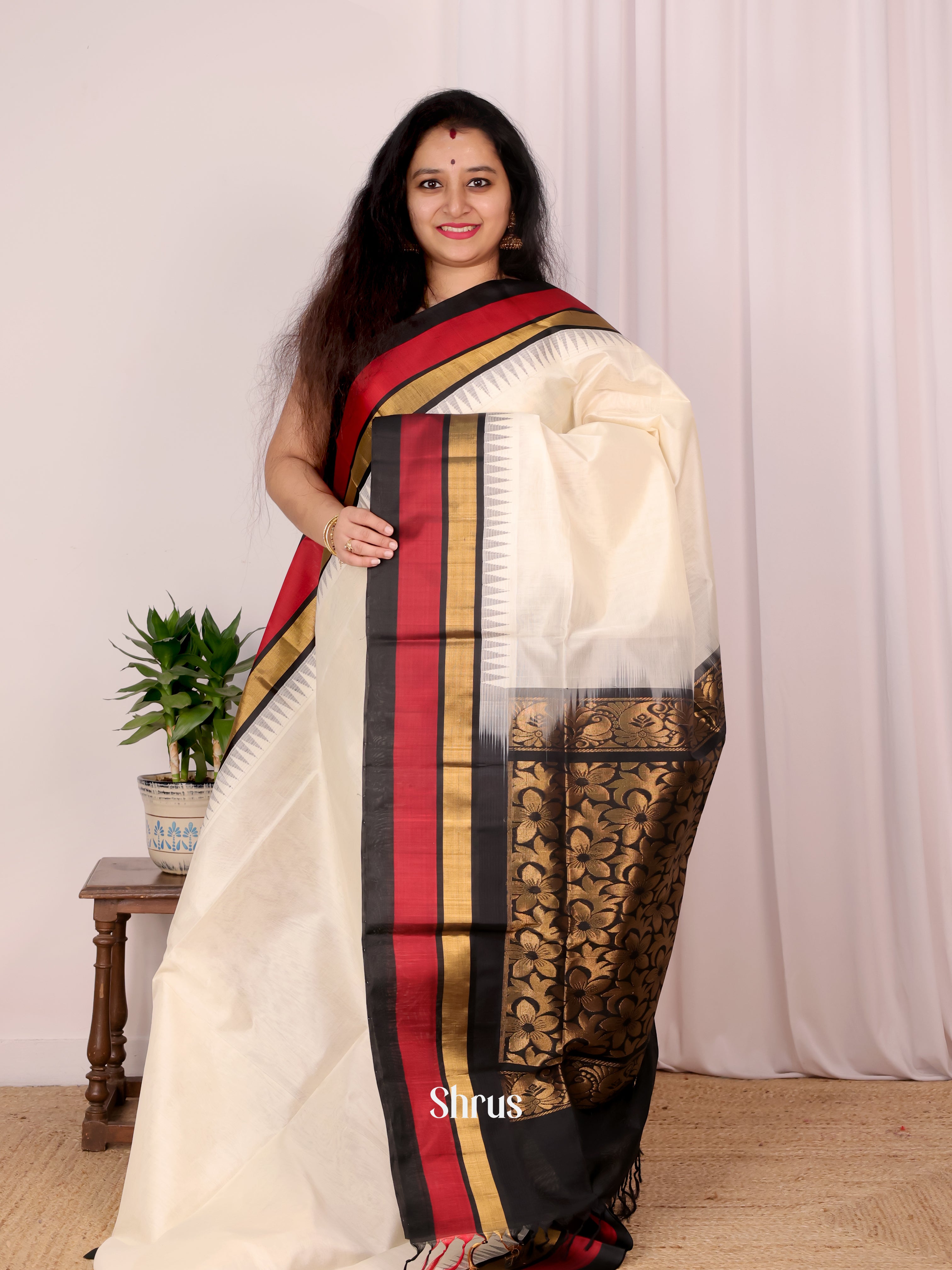 CKS19006 - Silk Cotton Saree