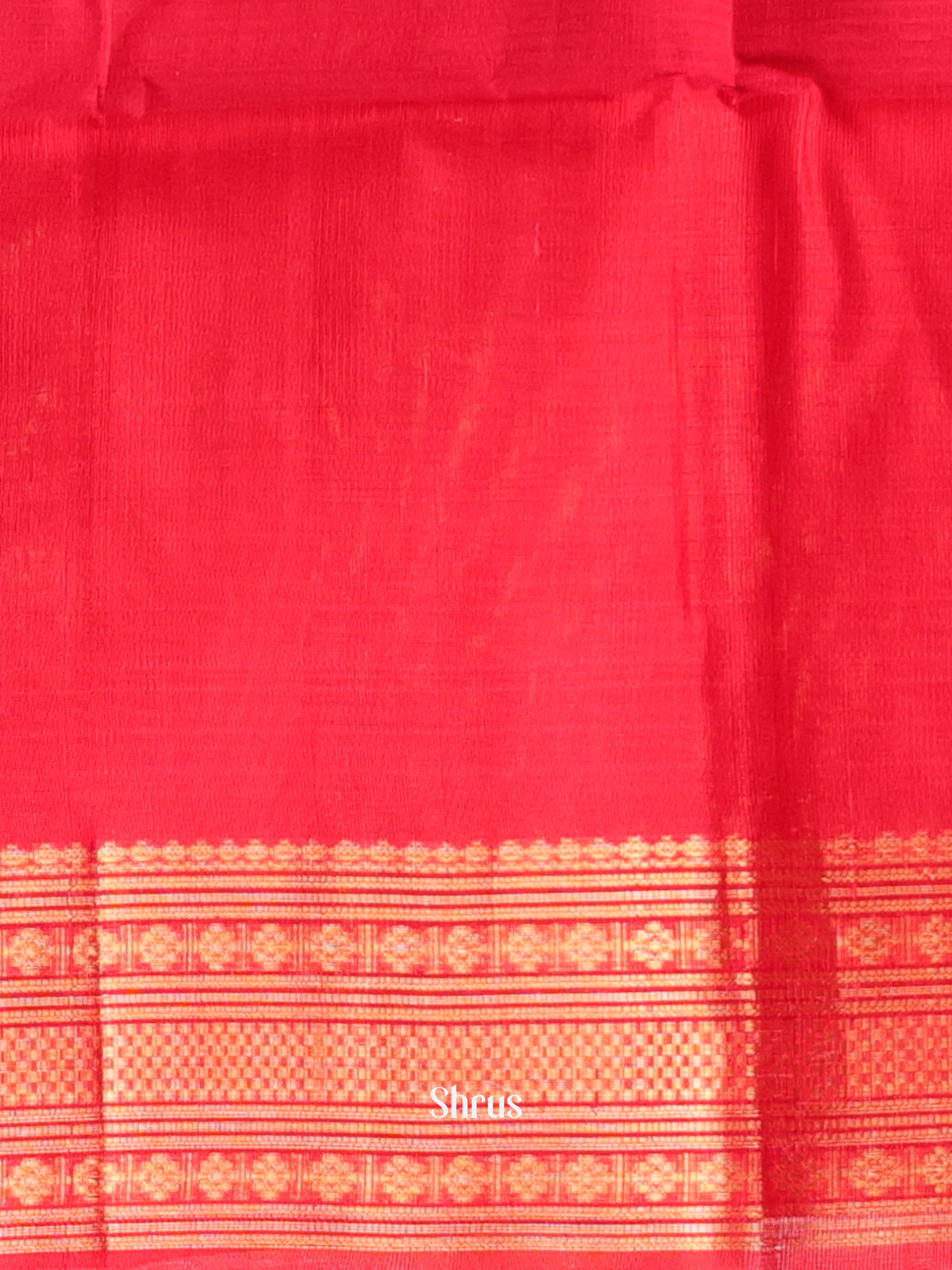 CKS19021 - Silk Cotton Saree