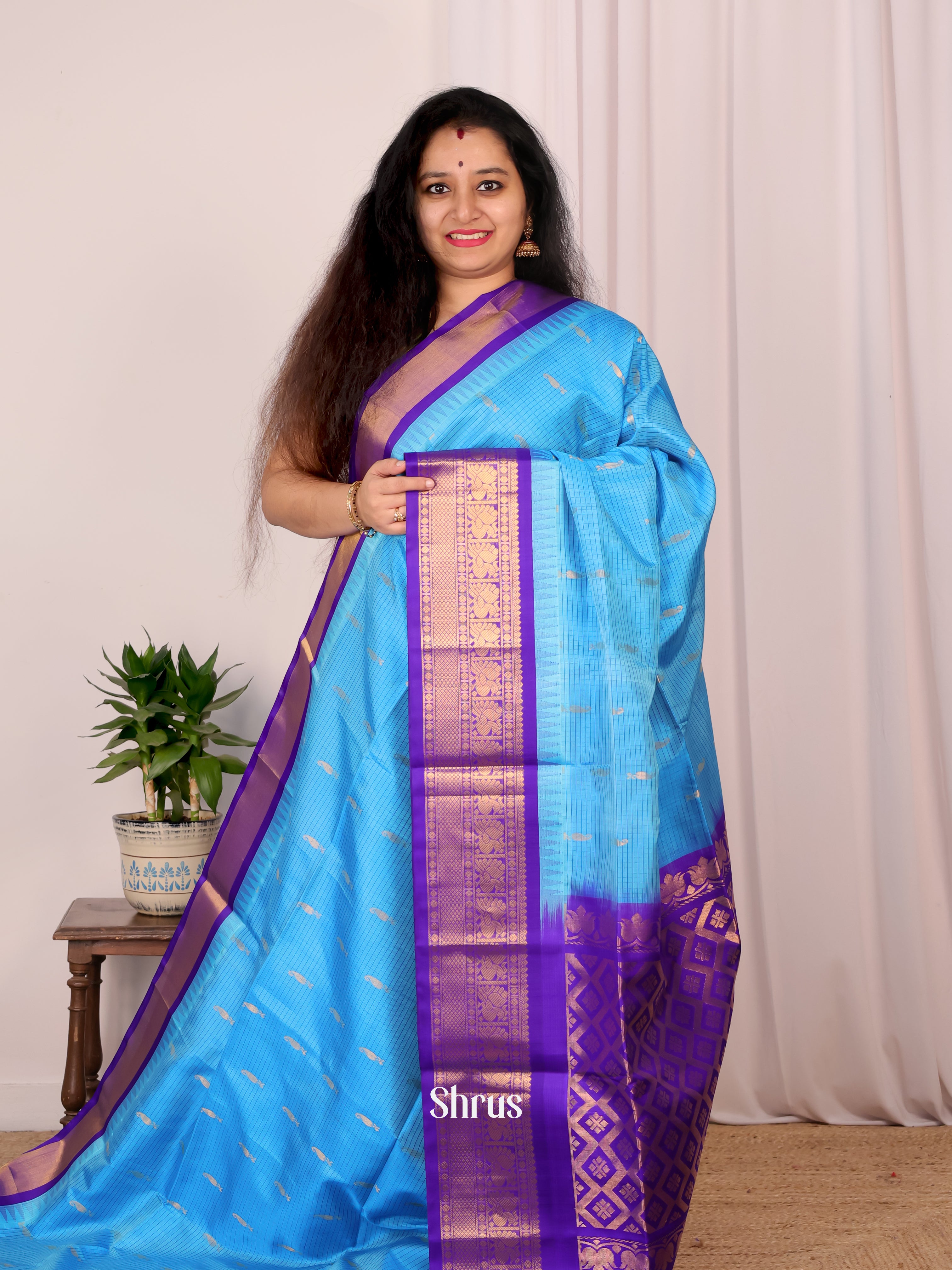 Blue & Violet - Soft Silk Saree