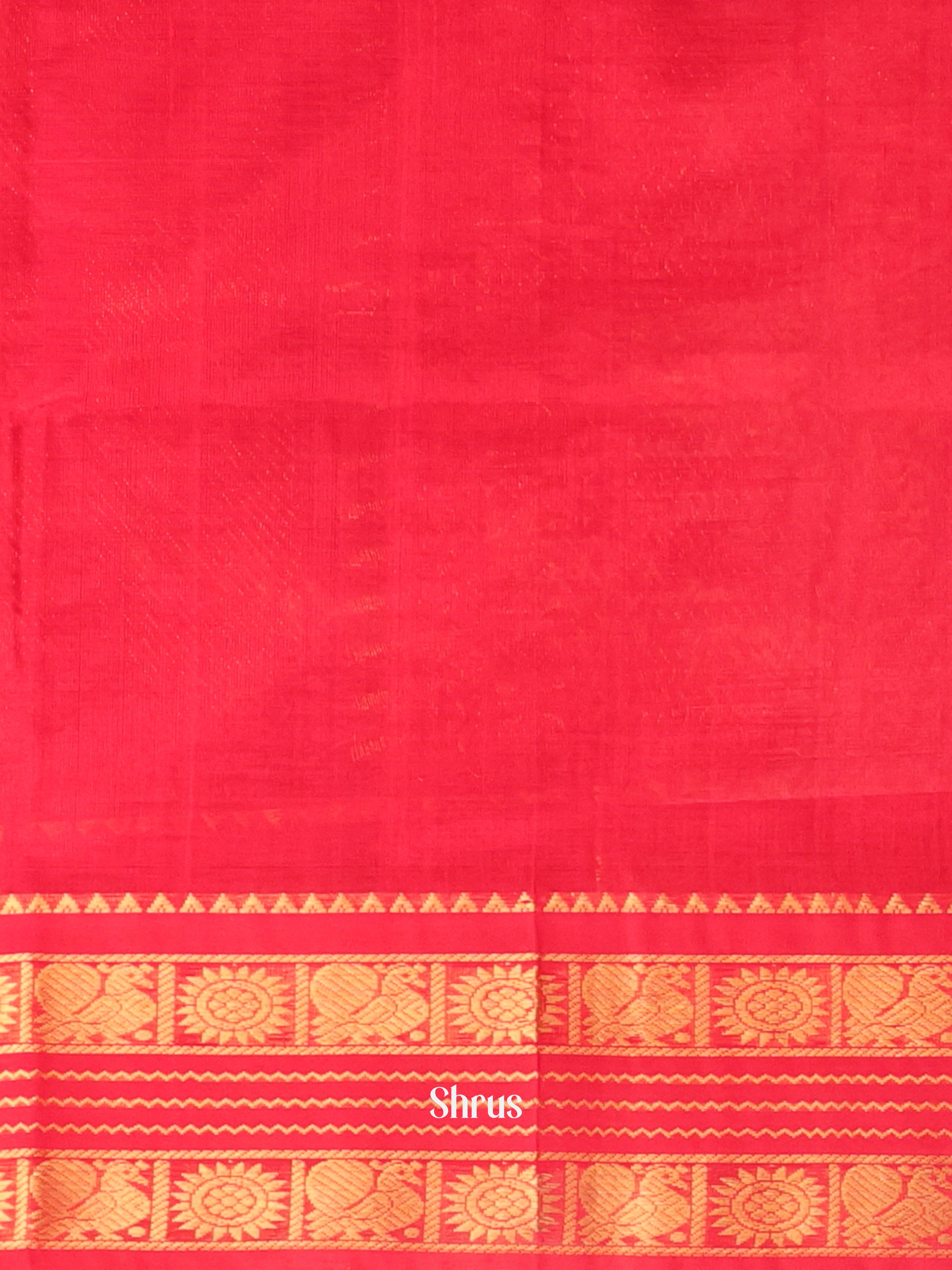 CKS19070 - Silk Cotton Saree