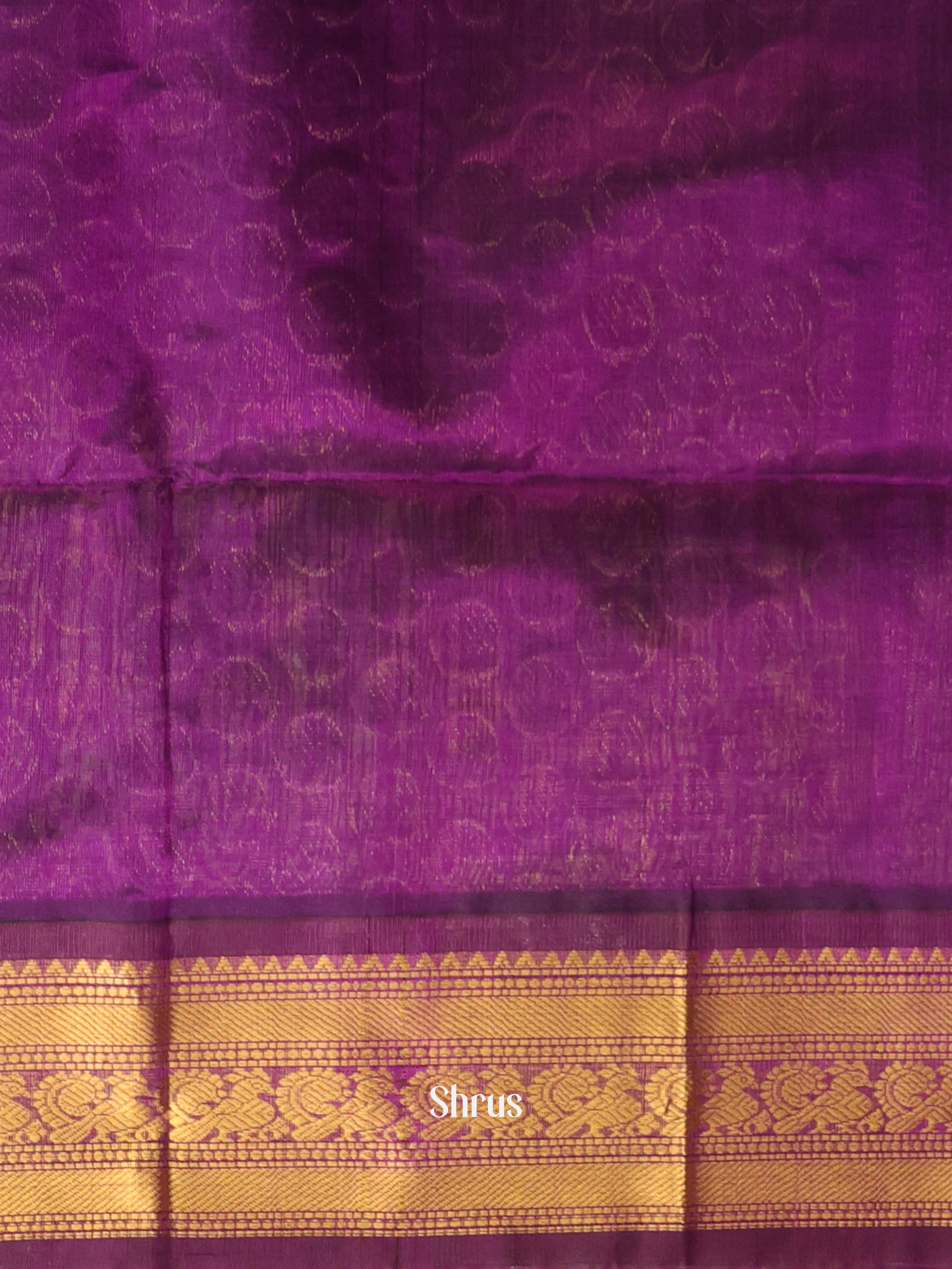 CKS19071 - Silk Cotton Saree