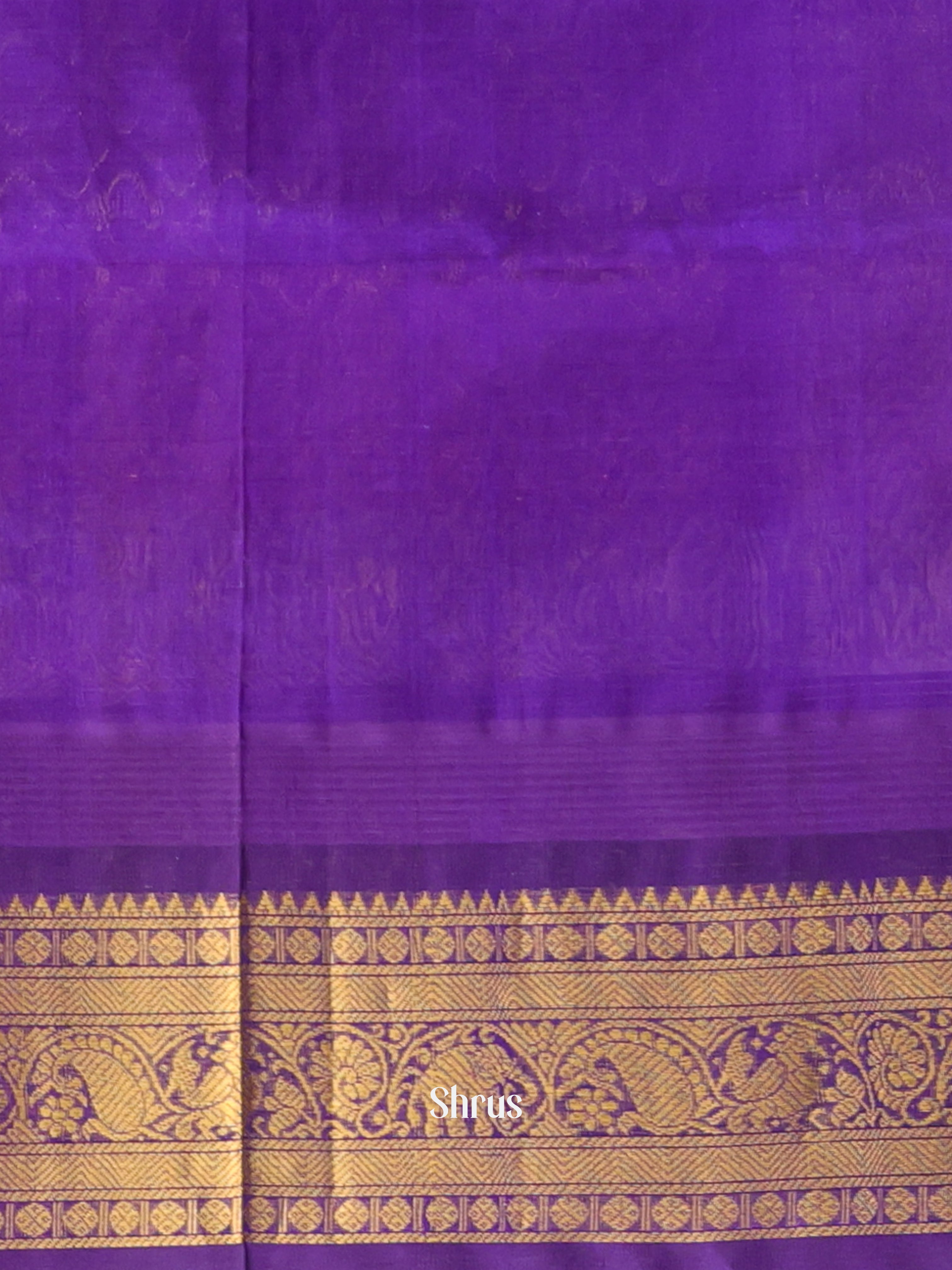 CKS19075 - Silk Cotton Saree