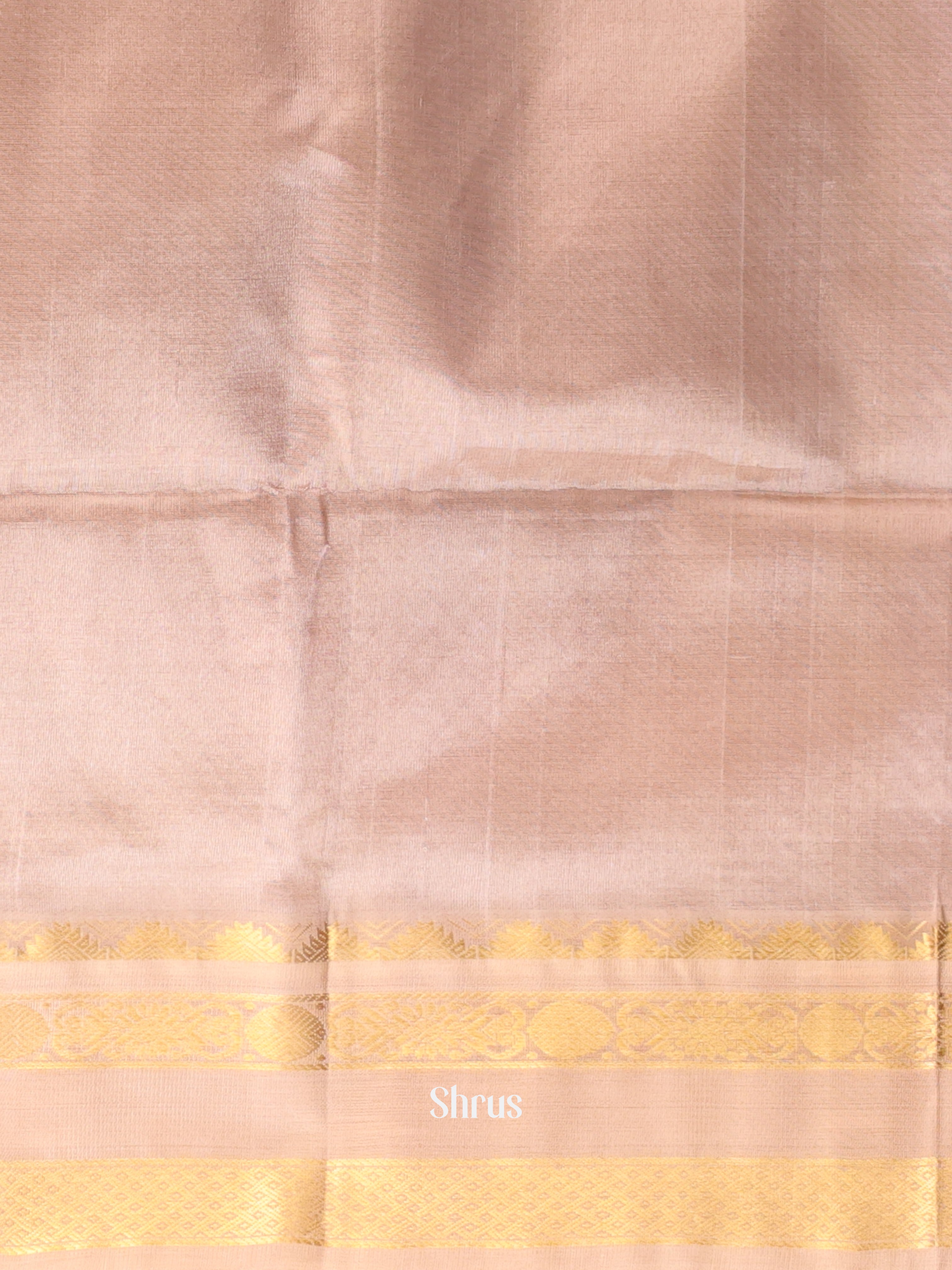 CKS19078  - Silk Cotton Saree